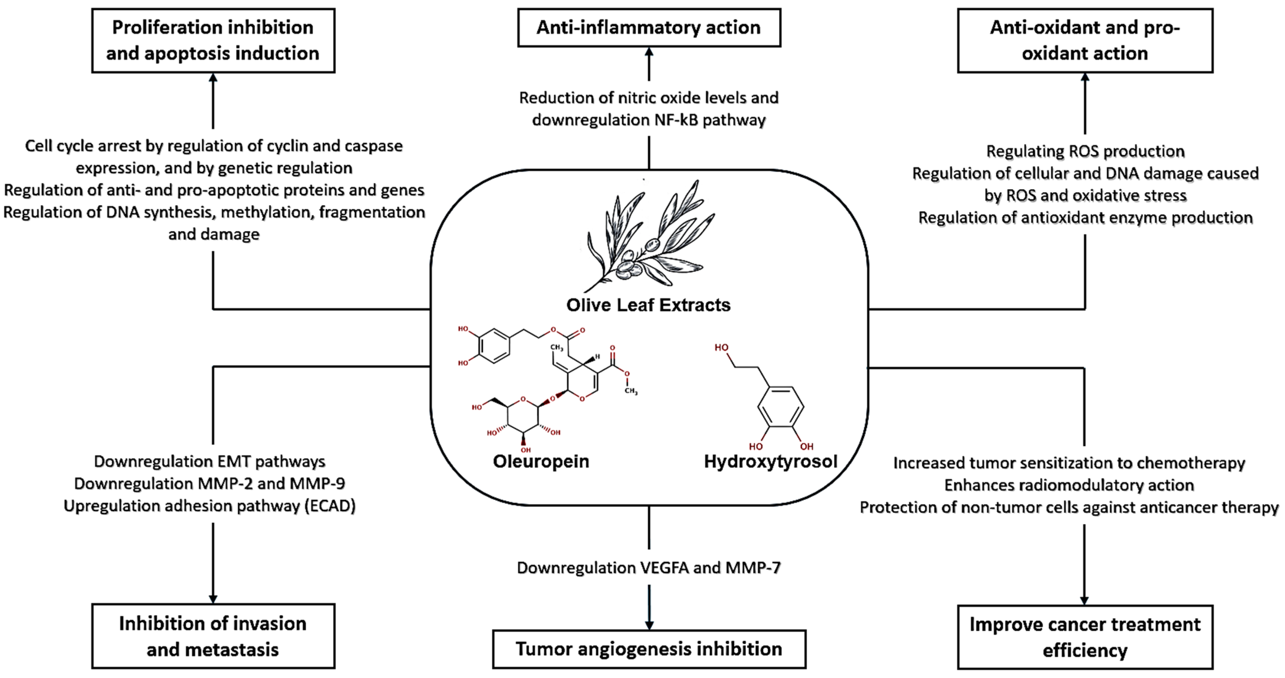 Molecules 29 04249 g005