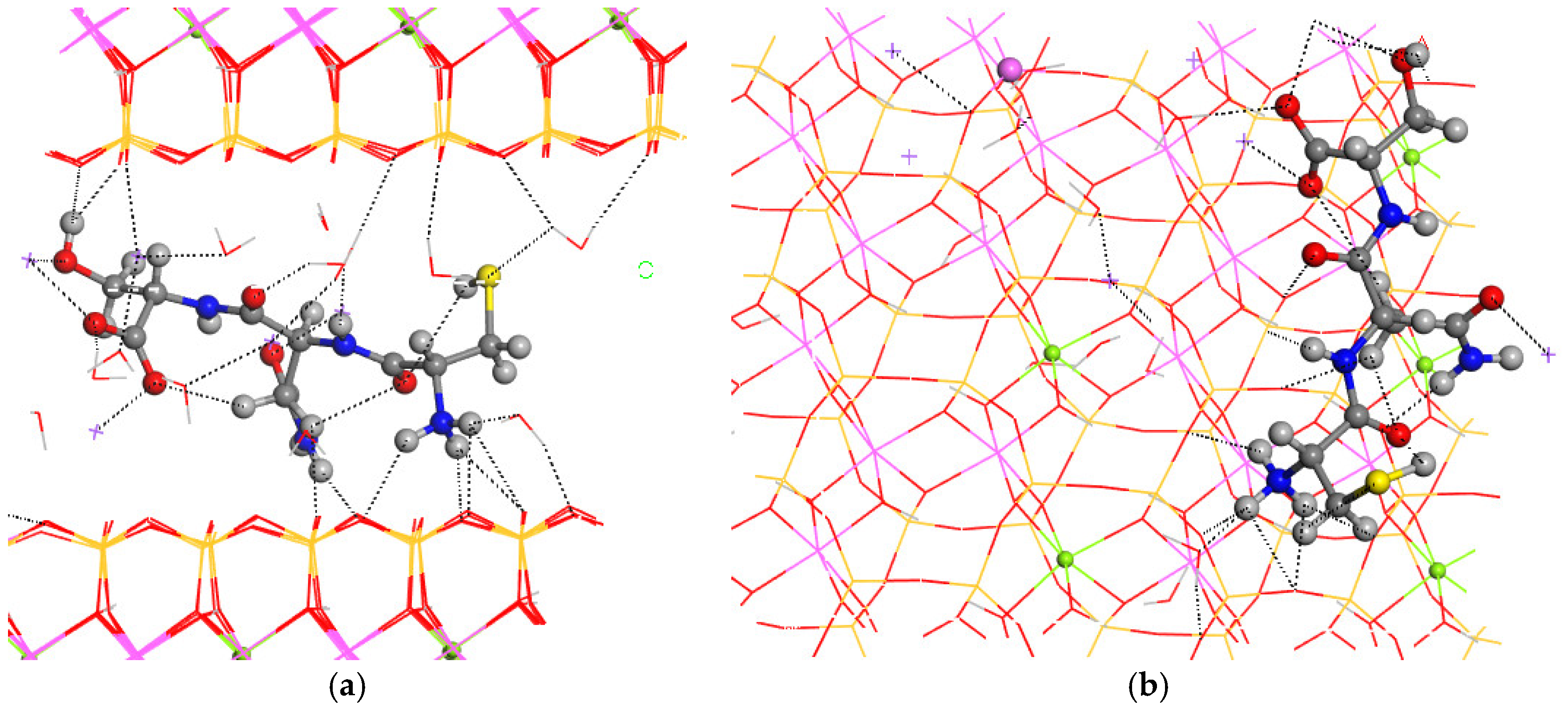 Molecules 29 04250 g004