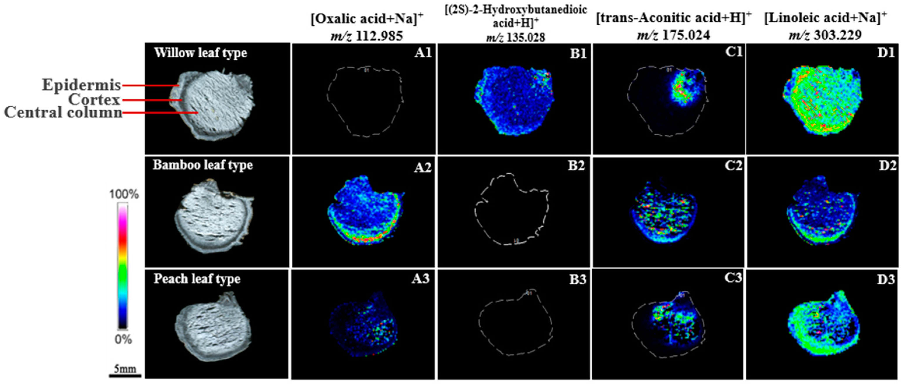 Molecules 29 04251 g003