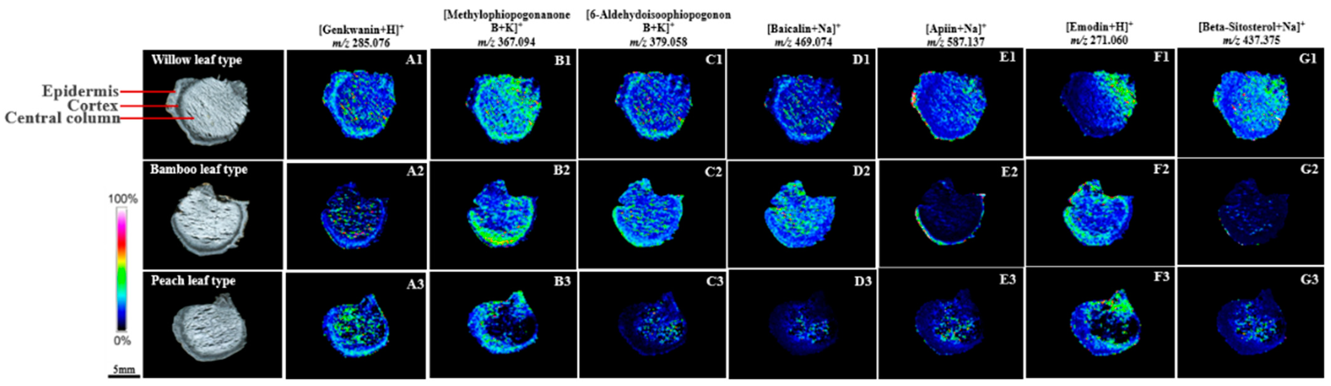 Molecules 29 04251 g005