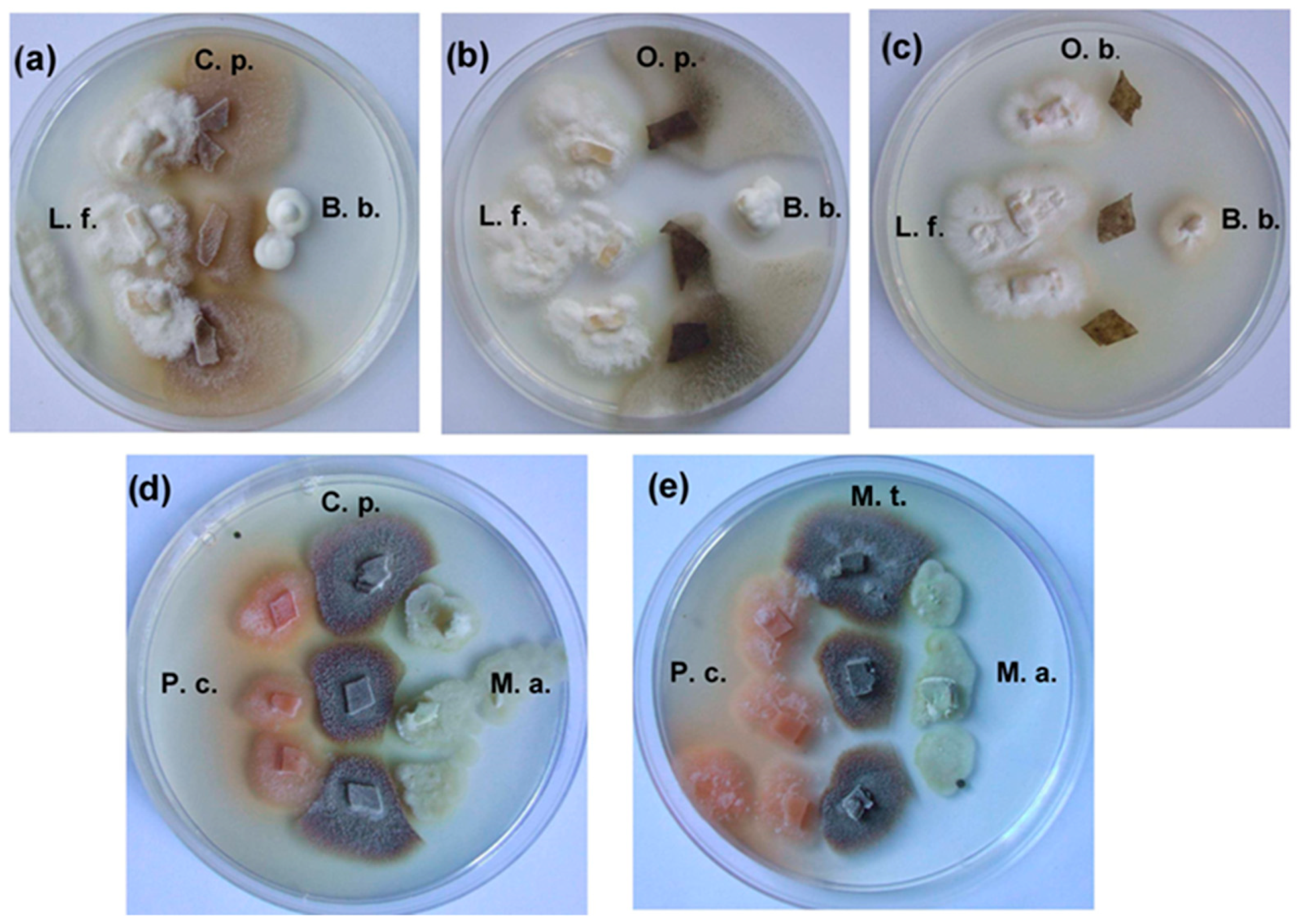 Molecules 29 04252 g004