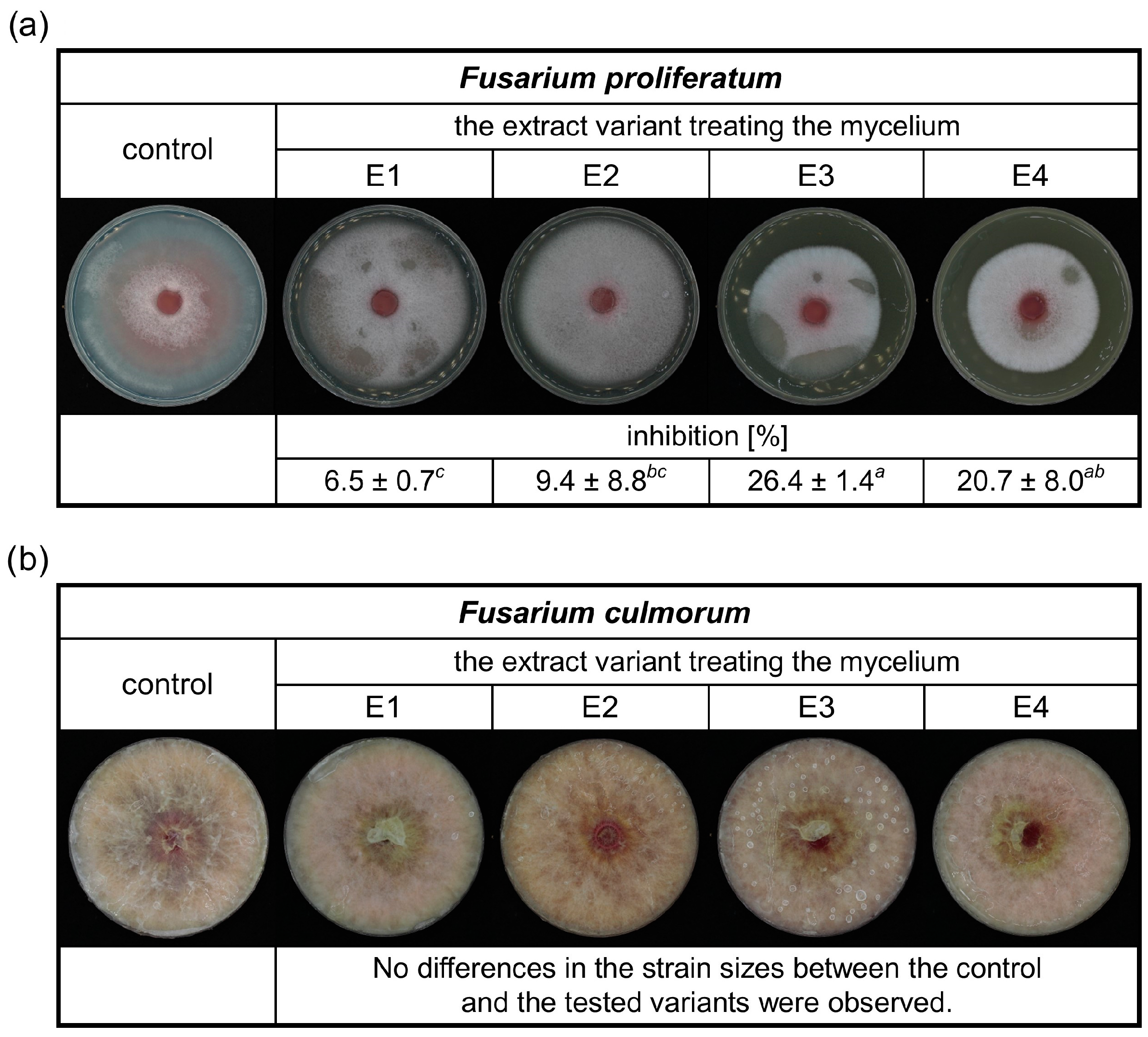 Molecules 29 04257 g002