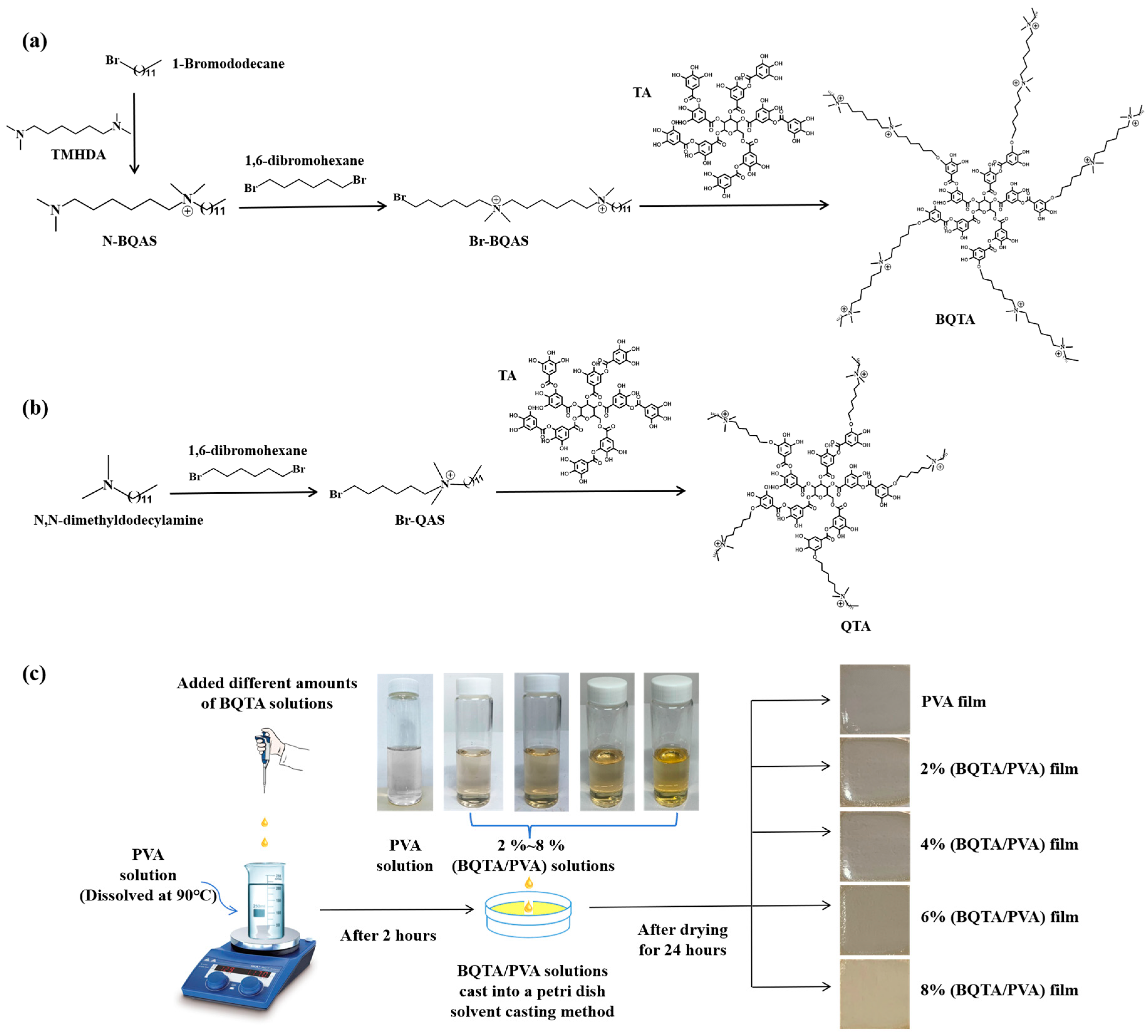 Molecules 29 04264 g001