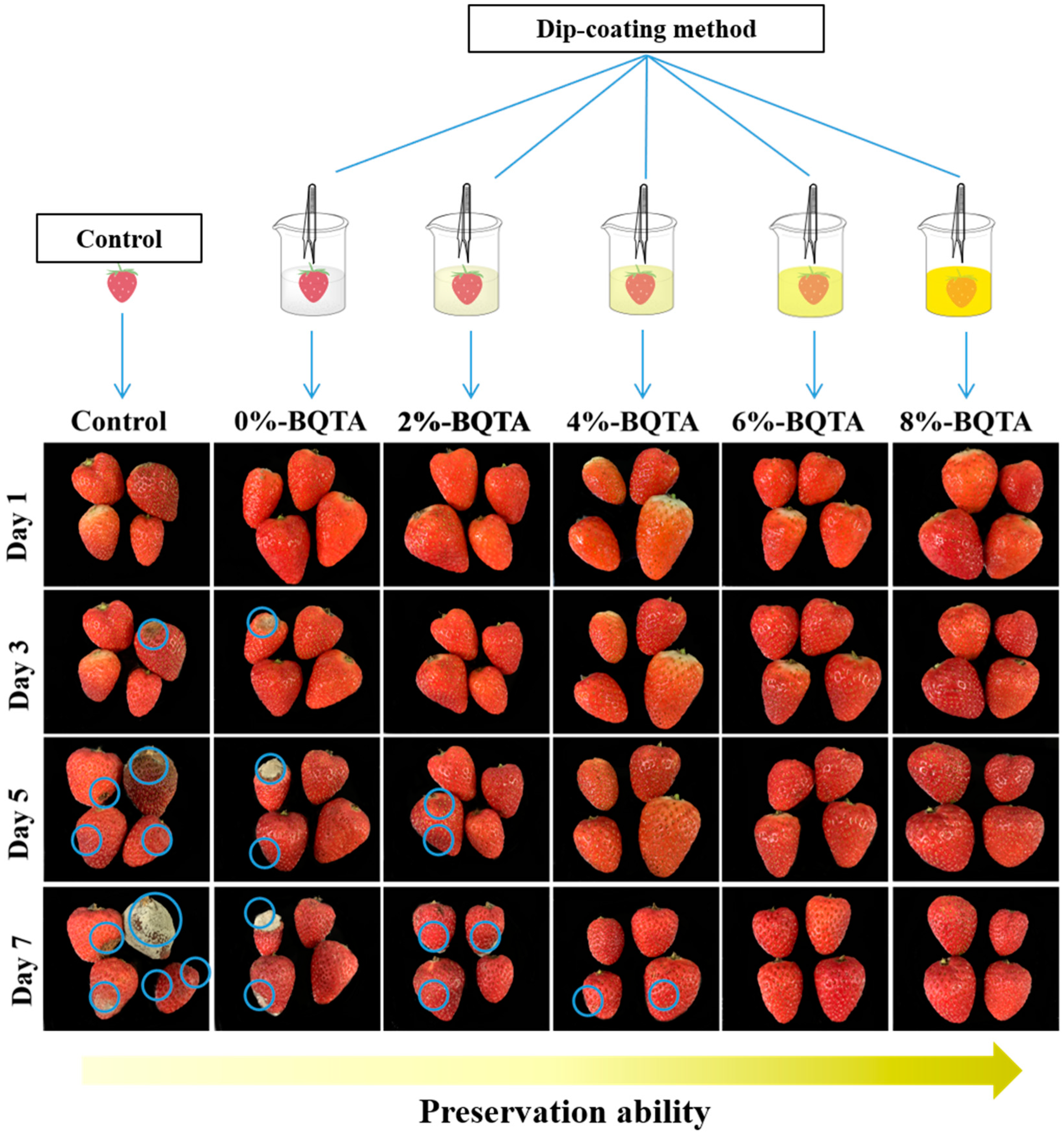 Molecules 29 04264 g009