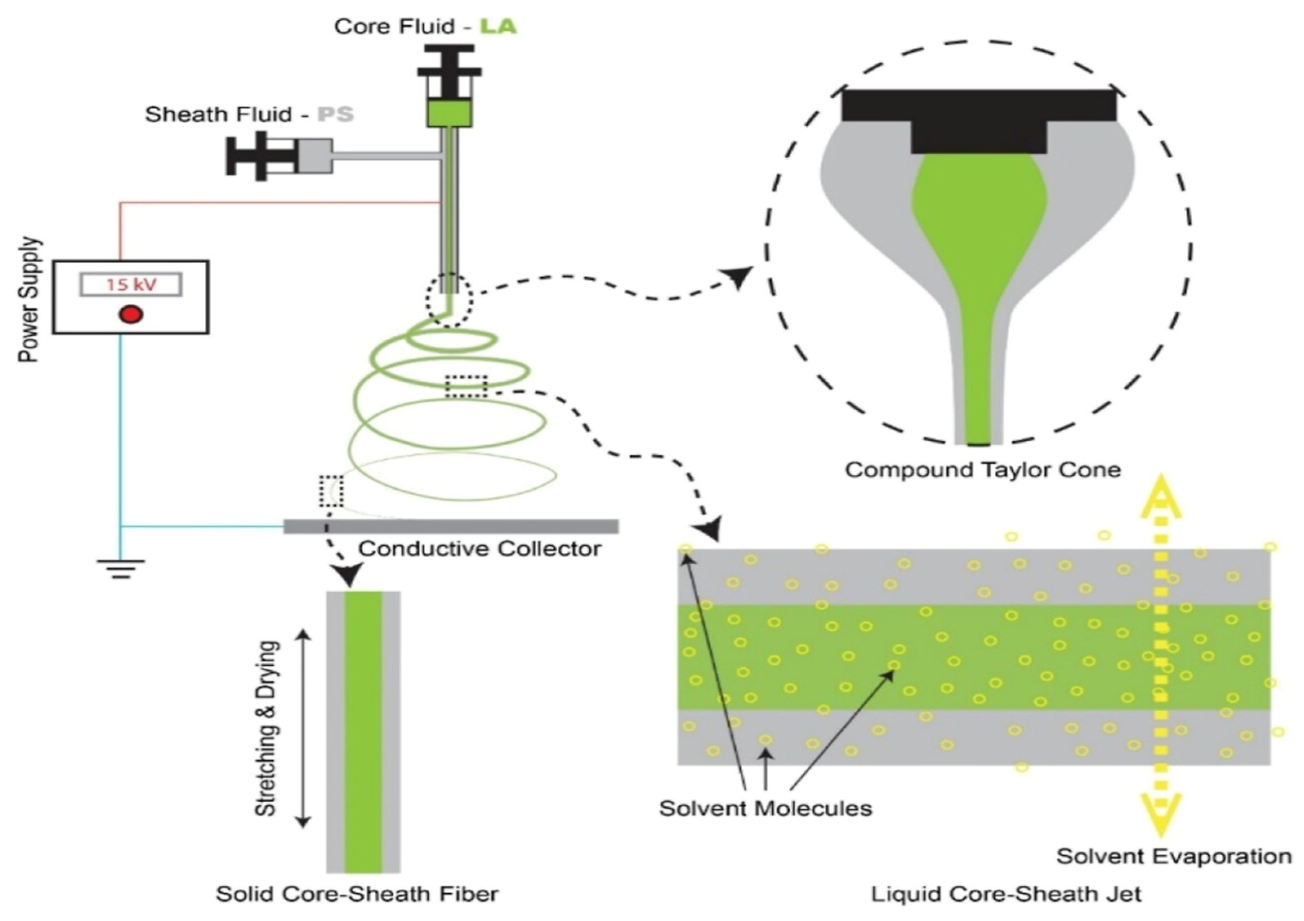 Molecules 29 04271 g001