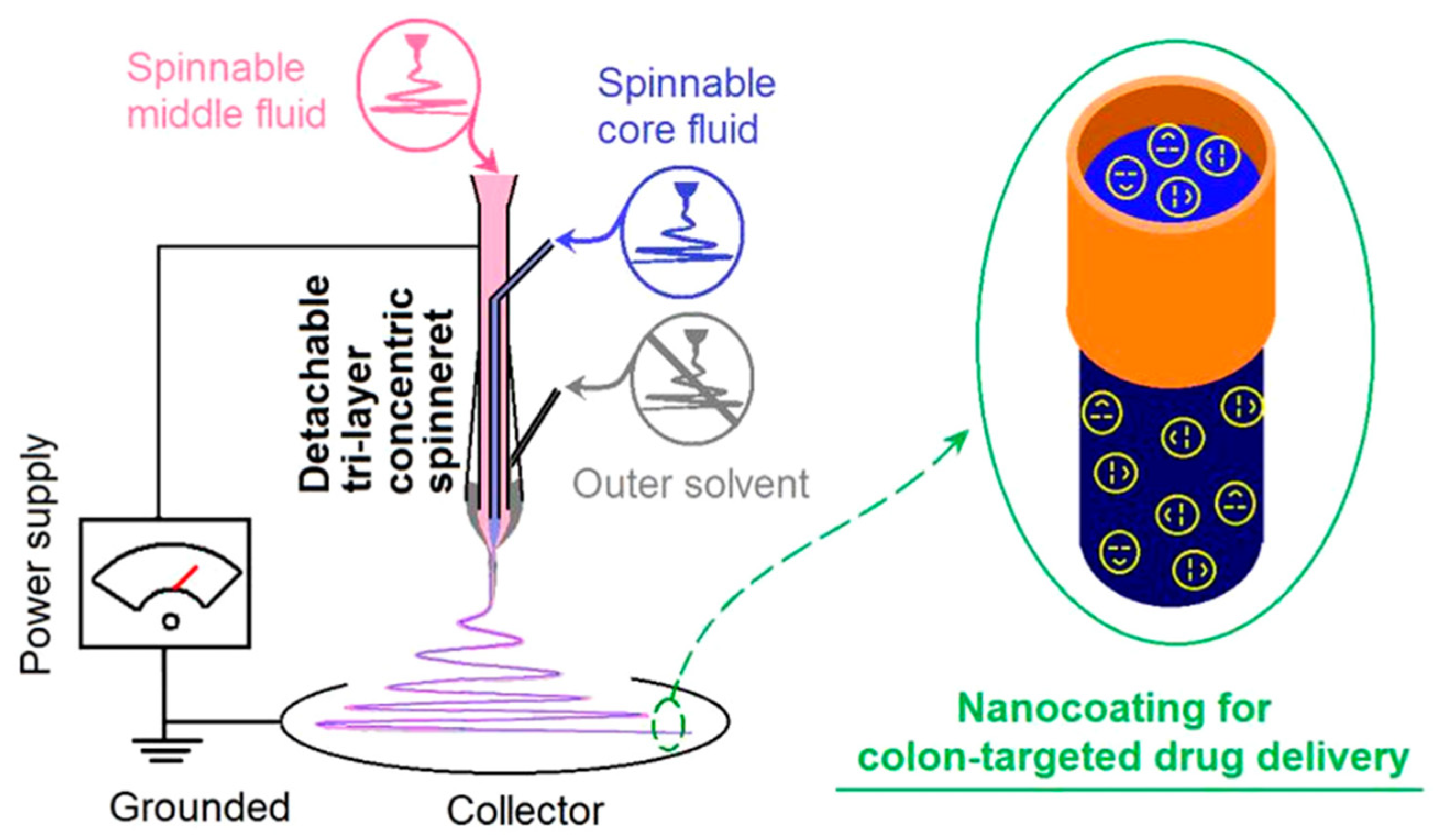 Molecules 29 04271 g003