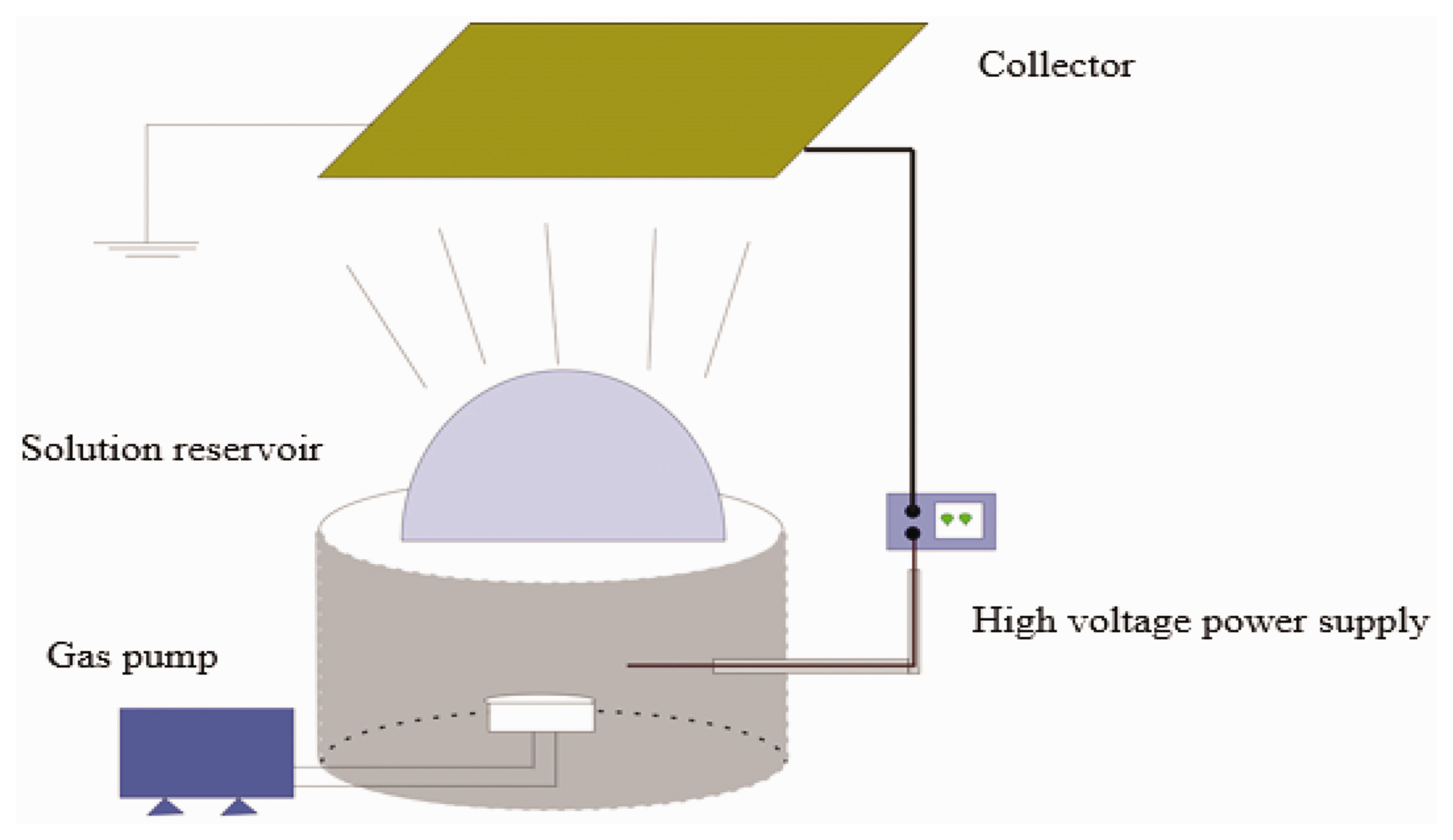 Molecules 29 04271 g005