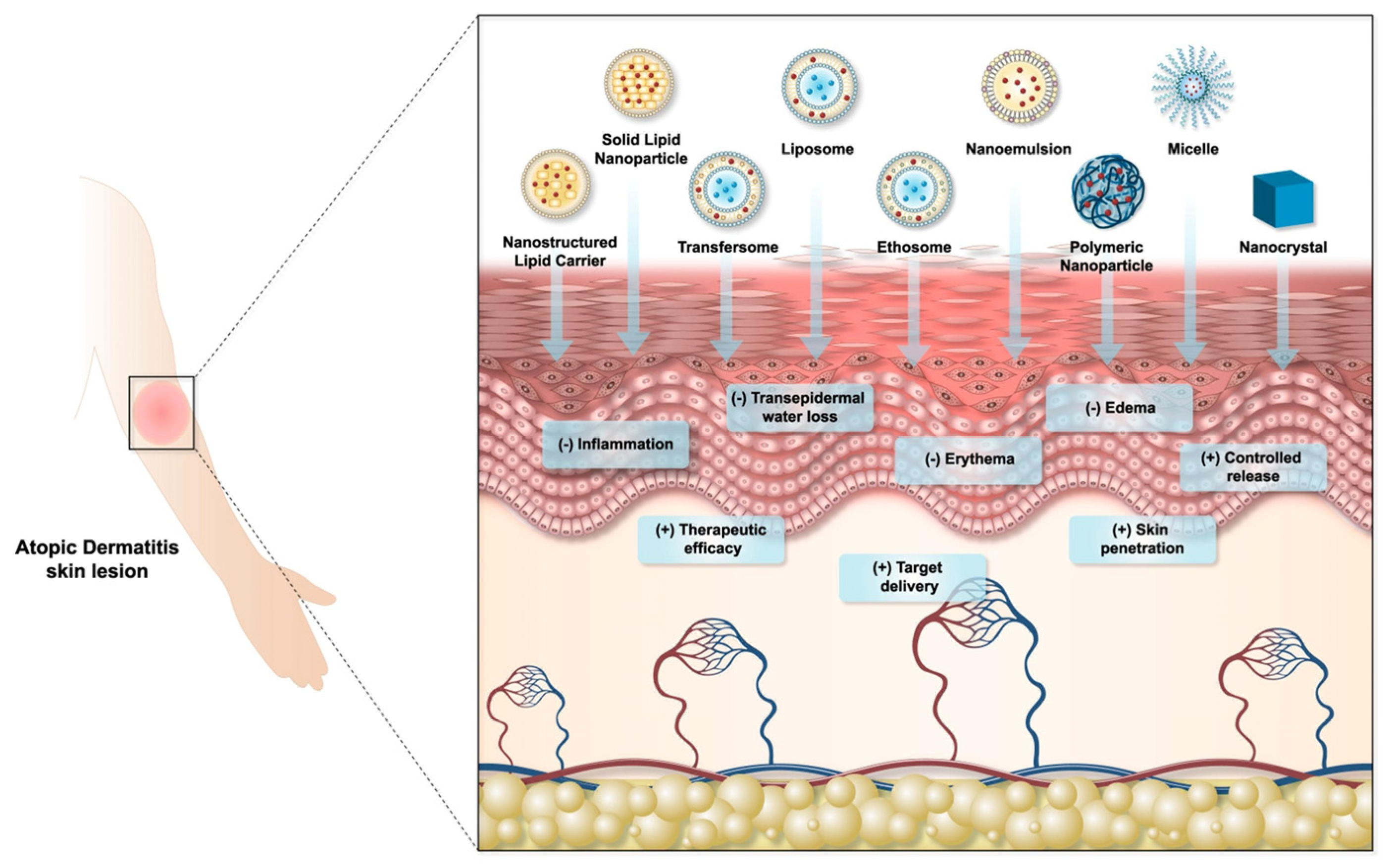 Molecules 29 04271 g009