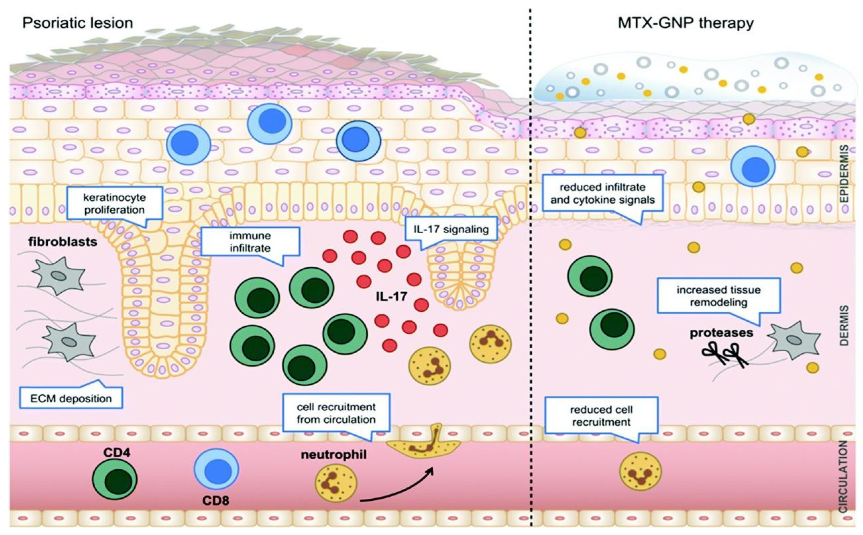 Molecules 29 04271 g010