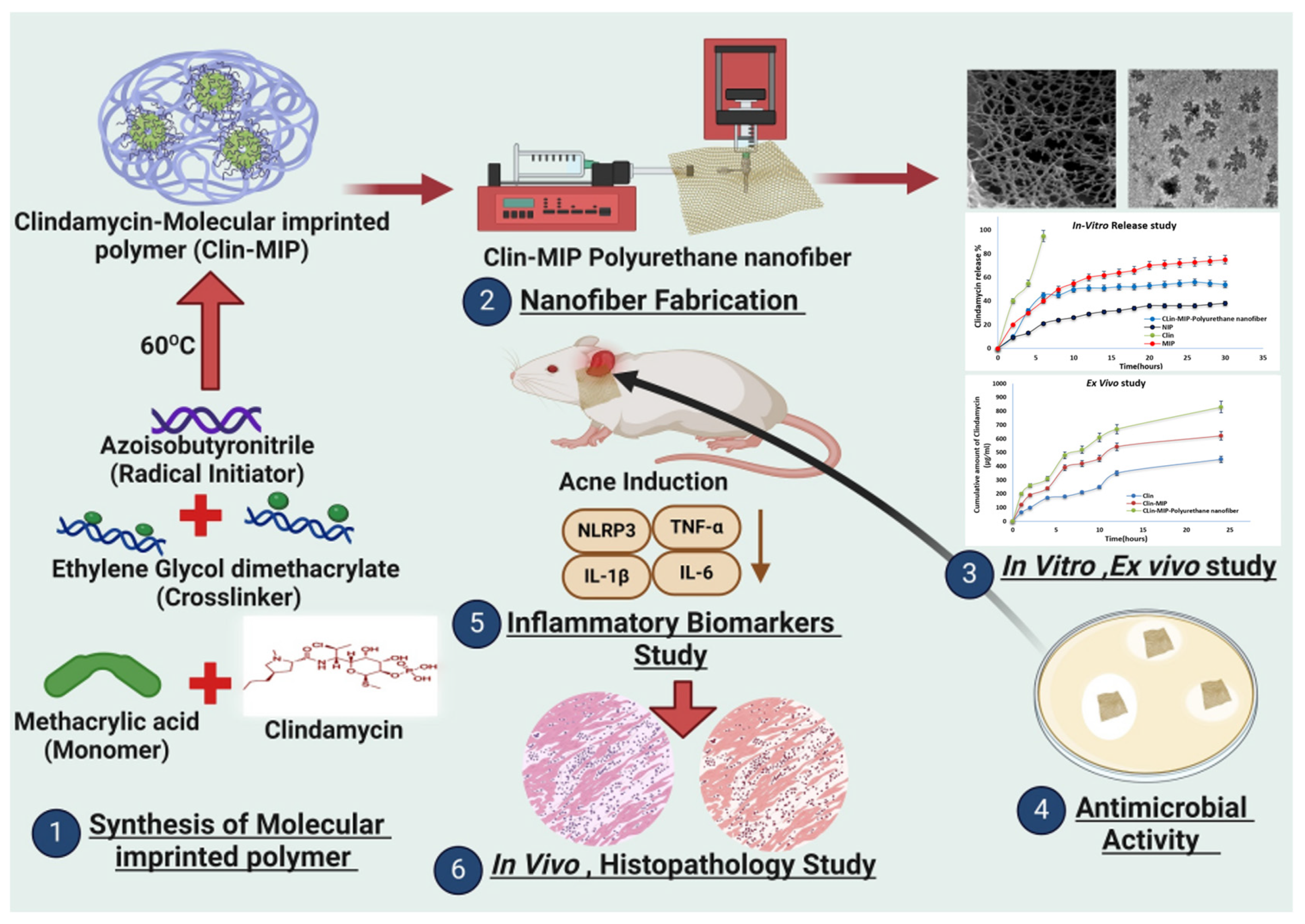 Molecules 29 04271 g011
