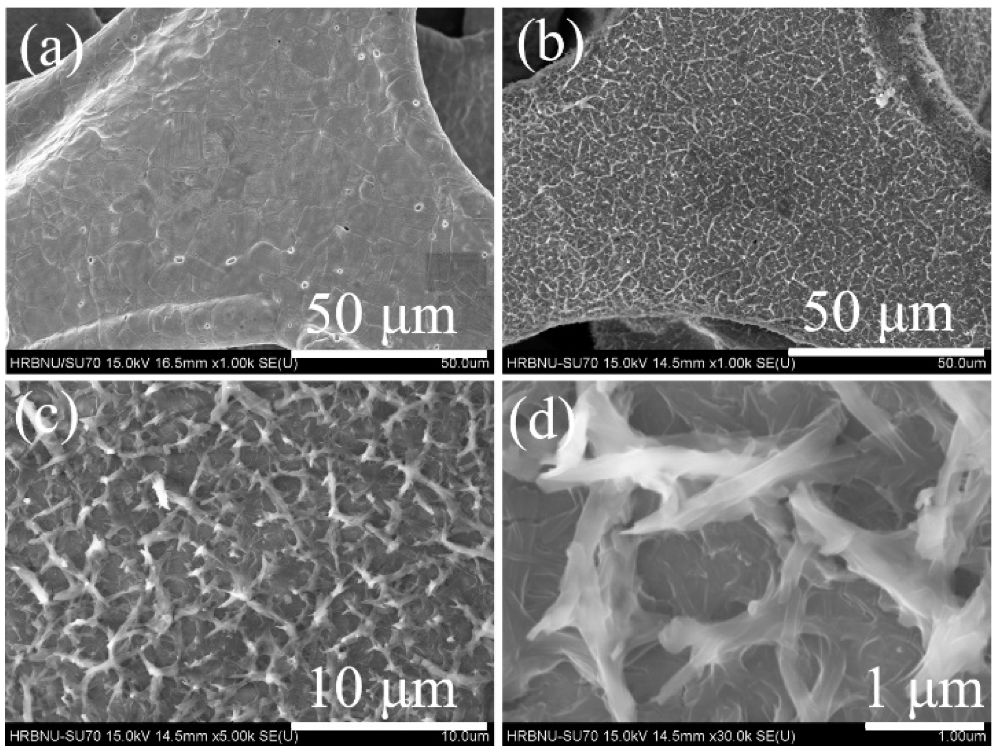 Molecules 29 04272 g002