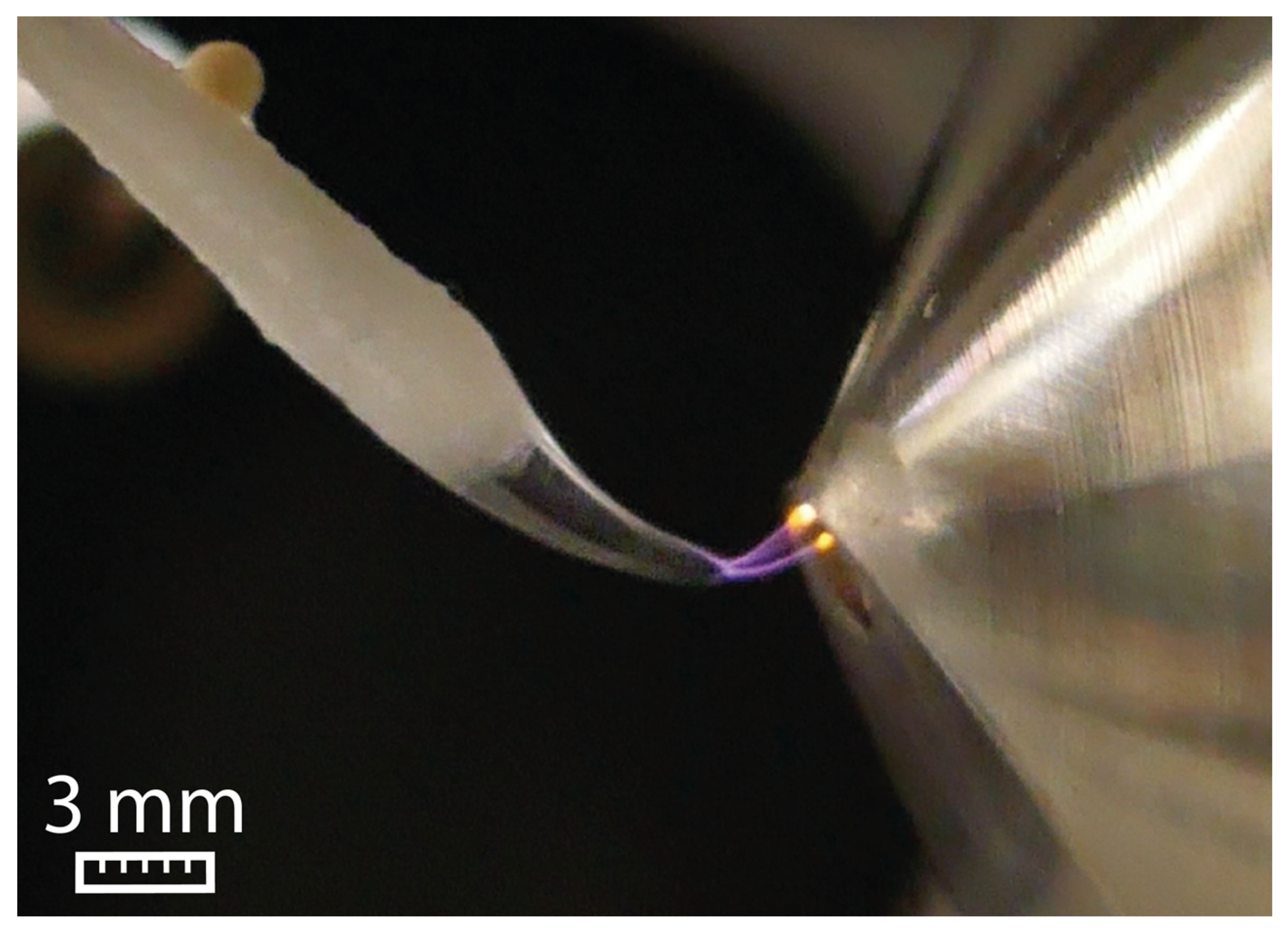 Molecules 29 04274 g001