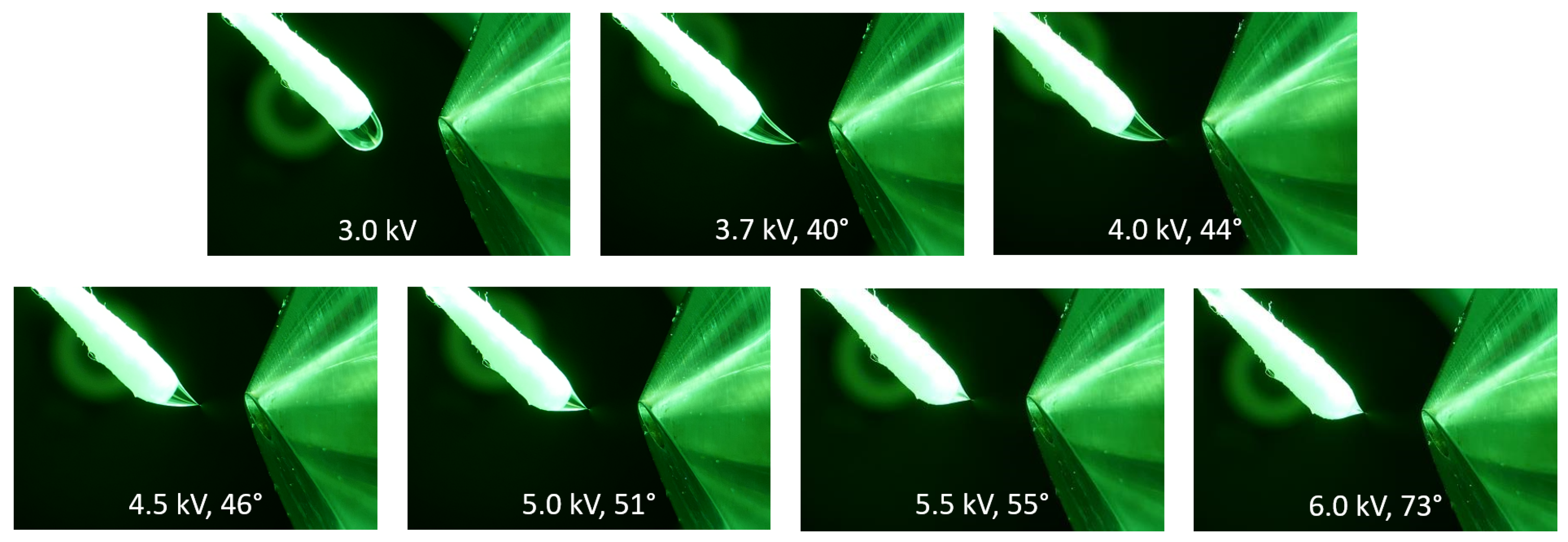 Molecules 29 04274 g002