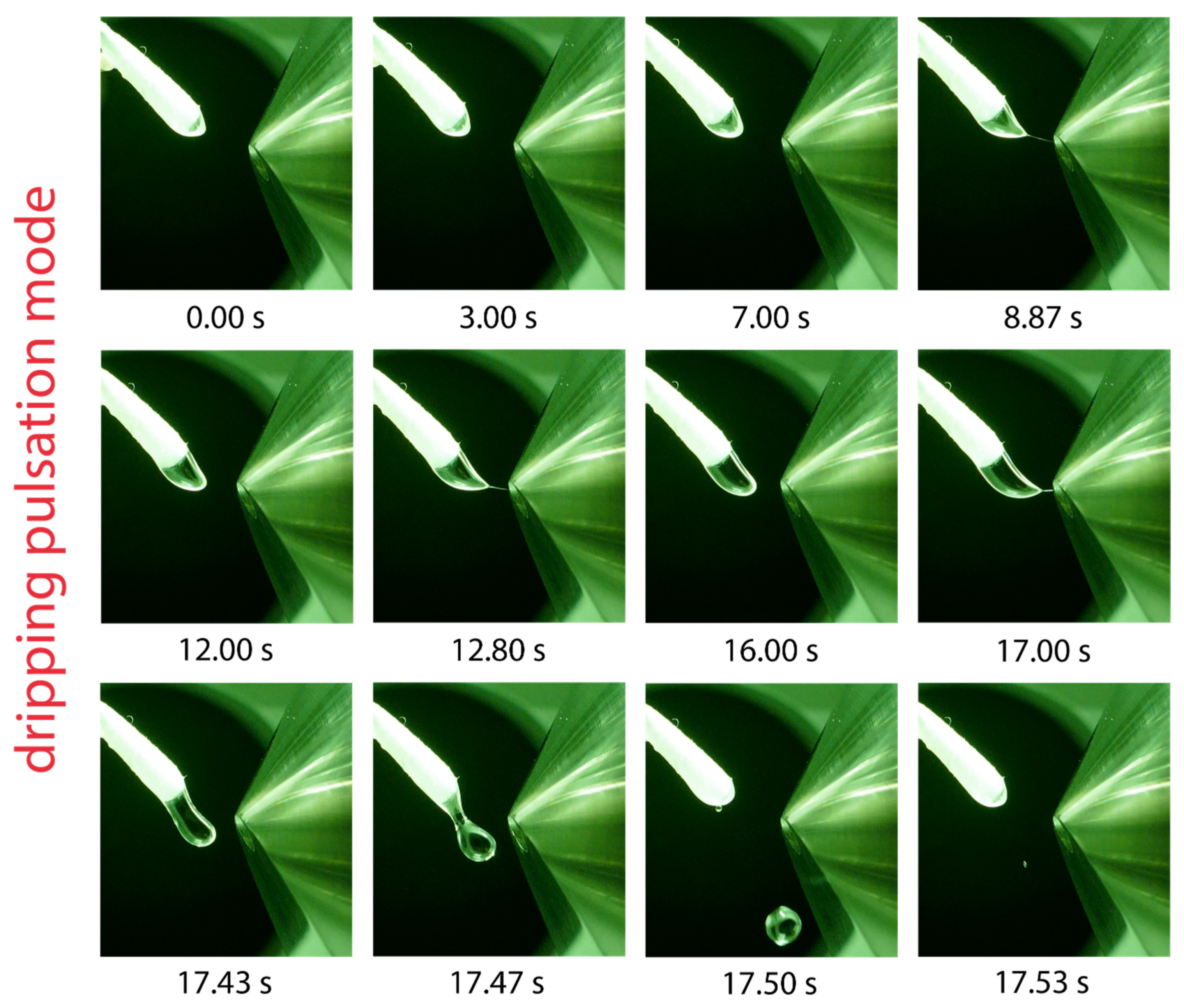 Molecules 29 04274 g005