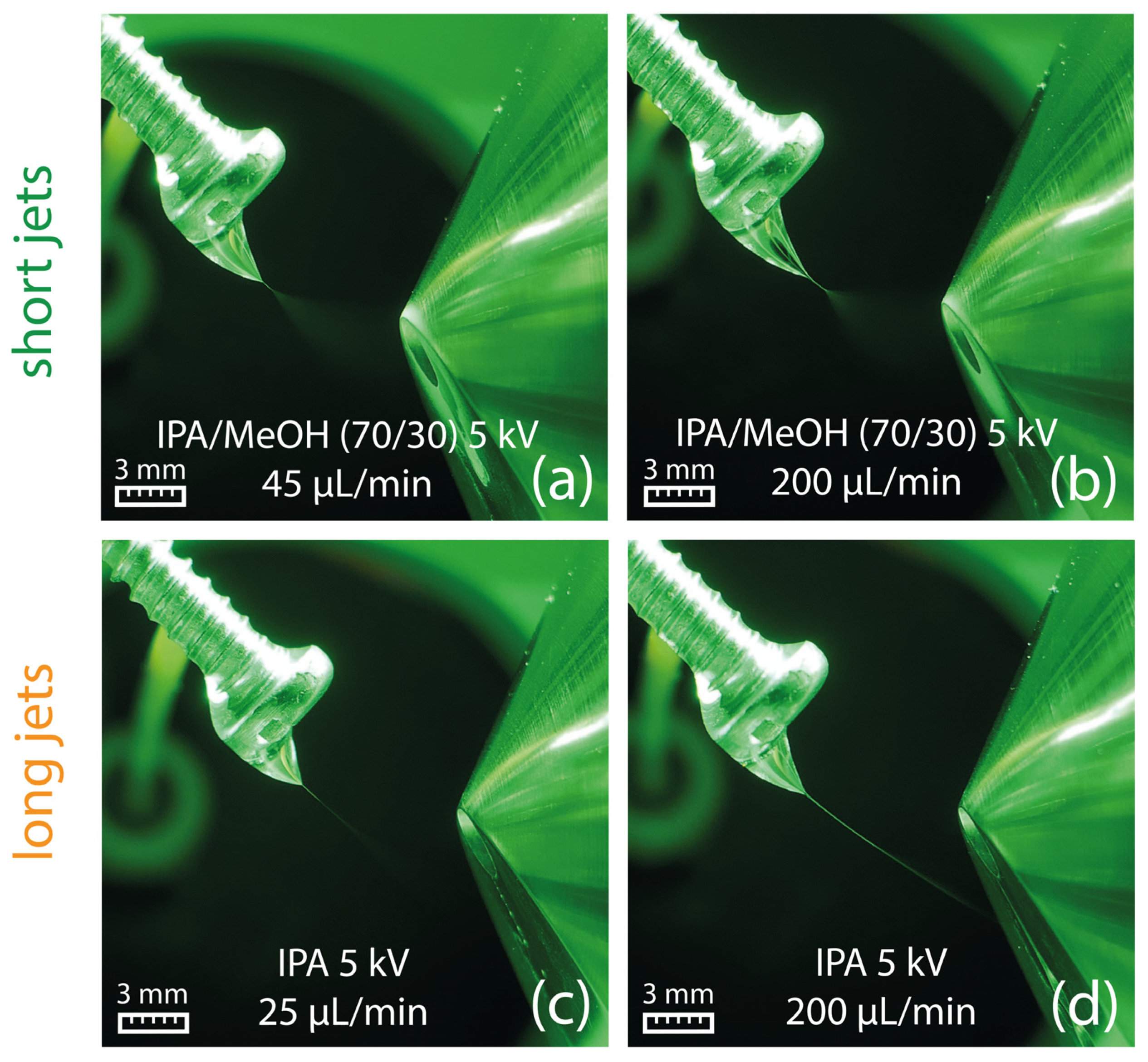 Molecules 29 04274 g007