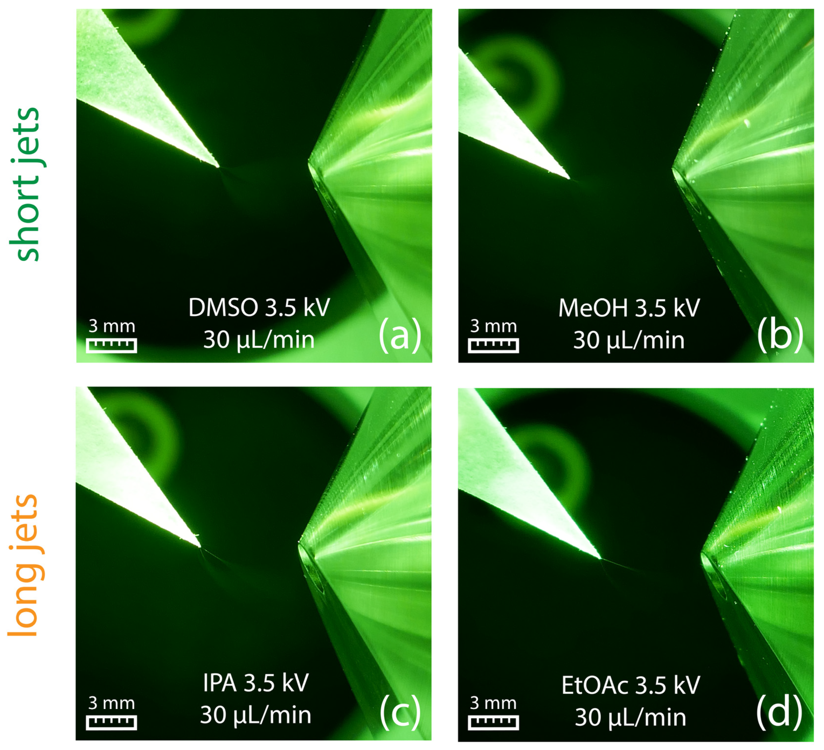 Molecules 29 04274 g009