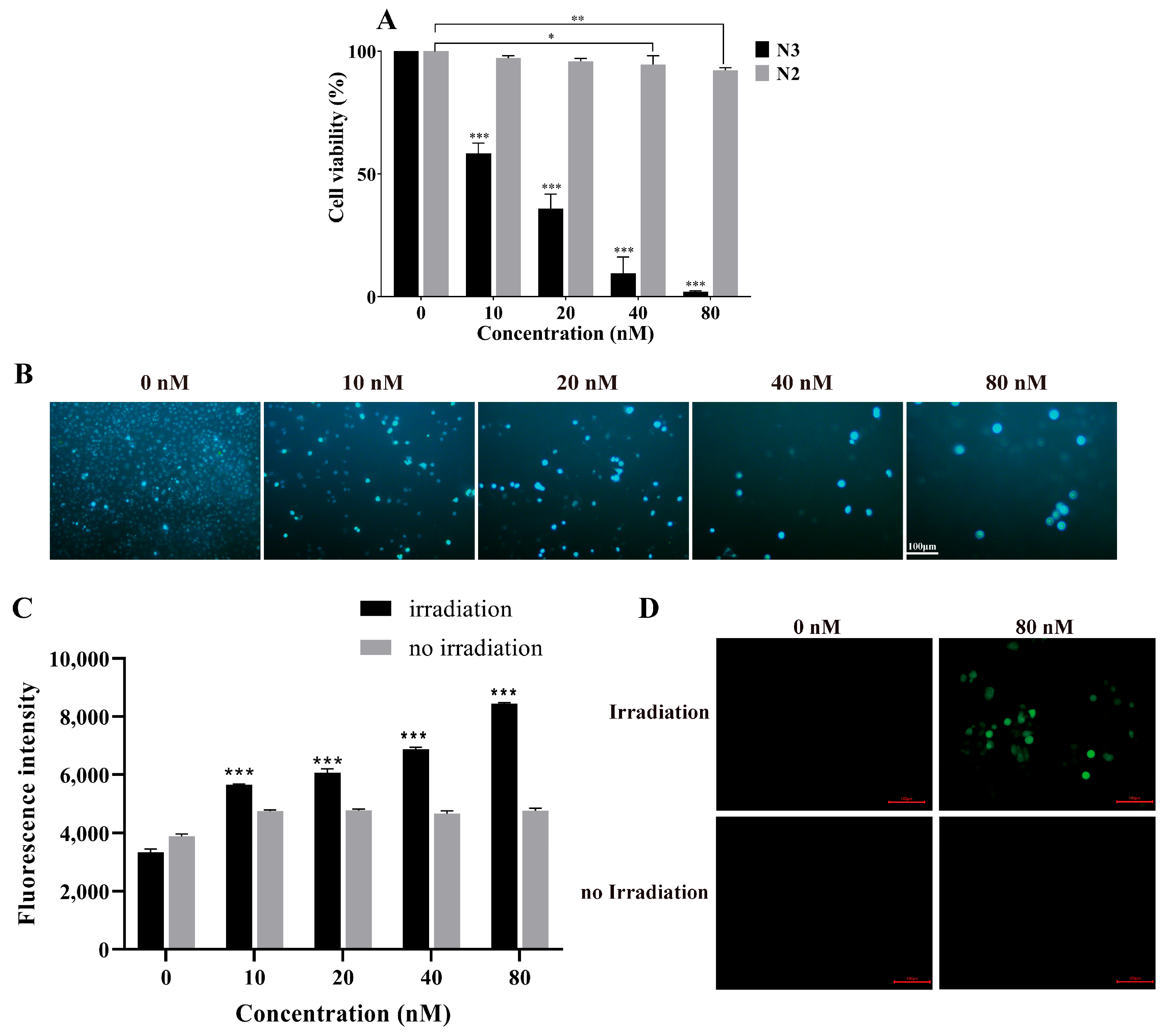 Molecules 29 04277 g004