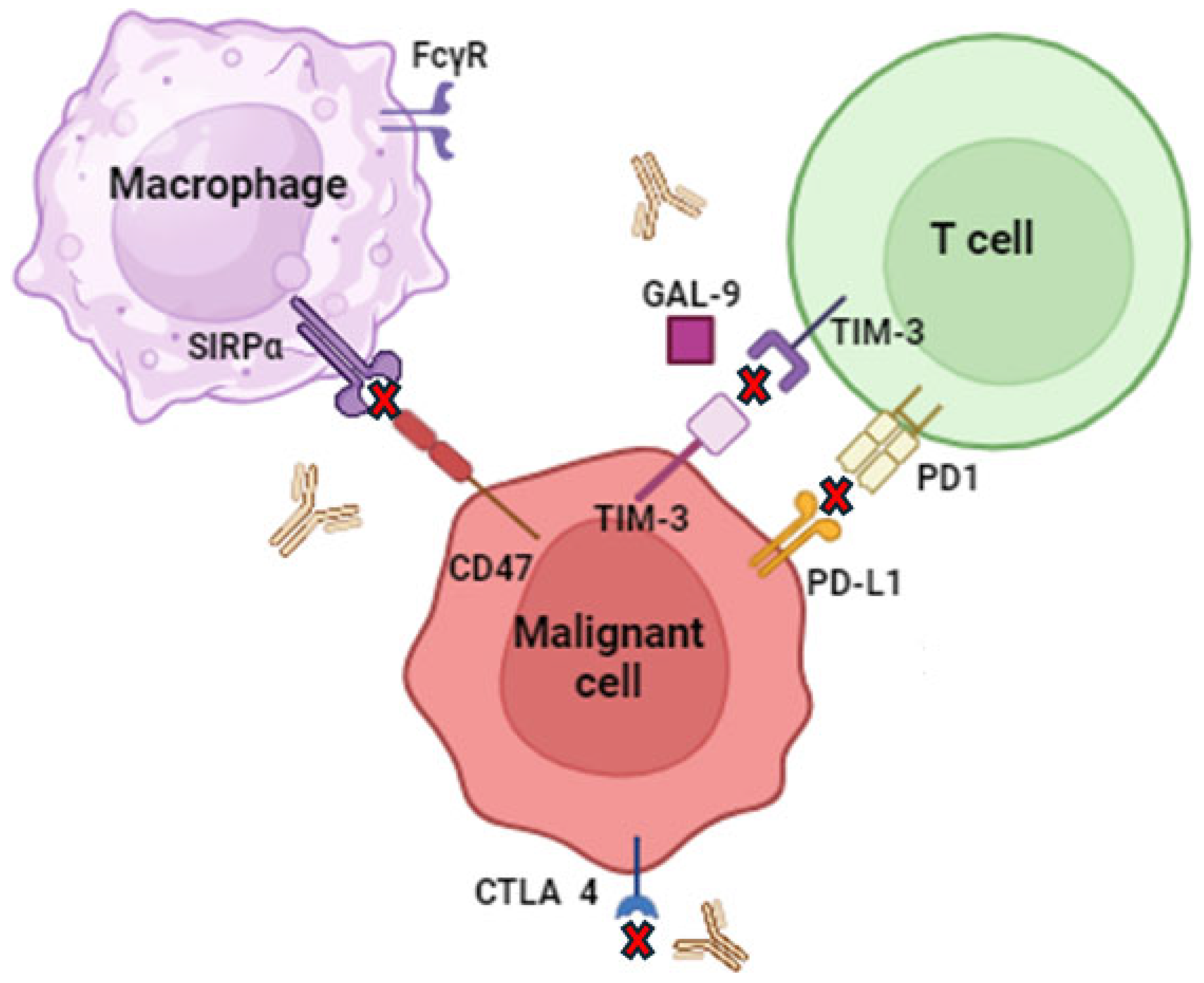 Molecules 29 04280 g004