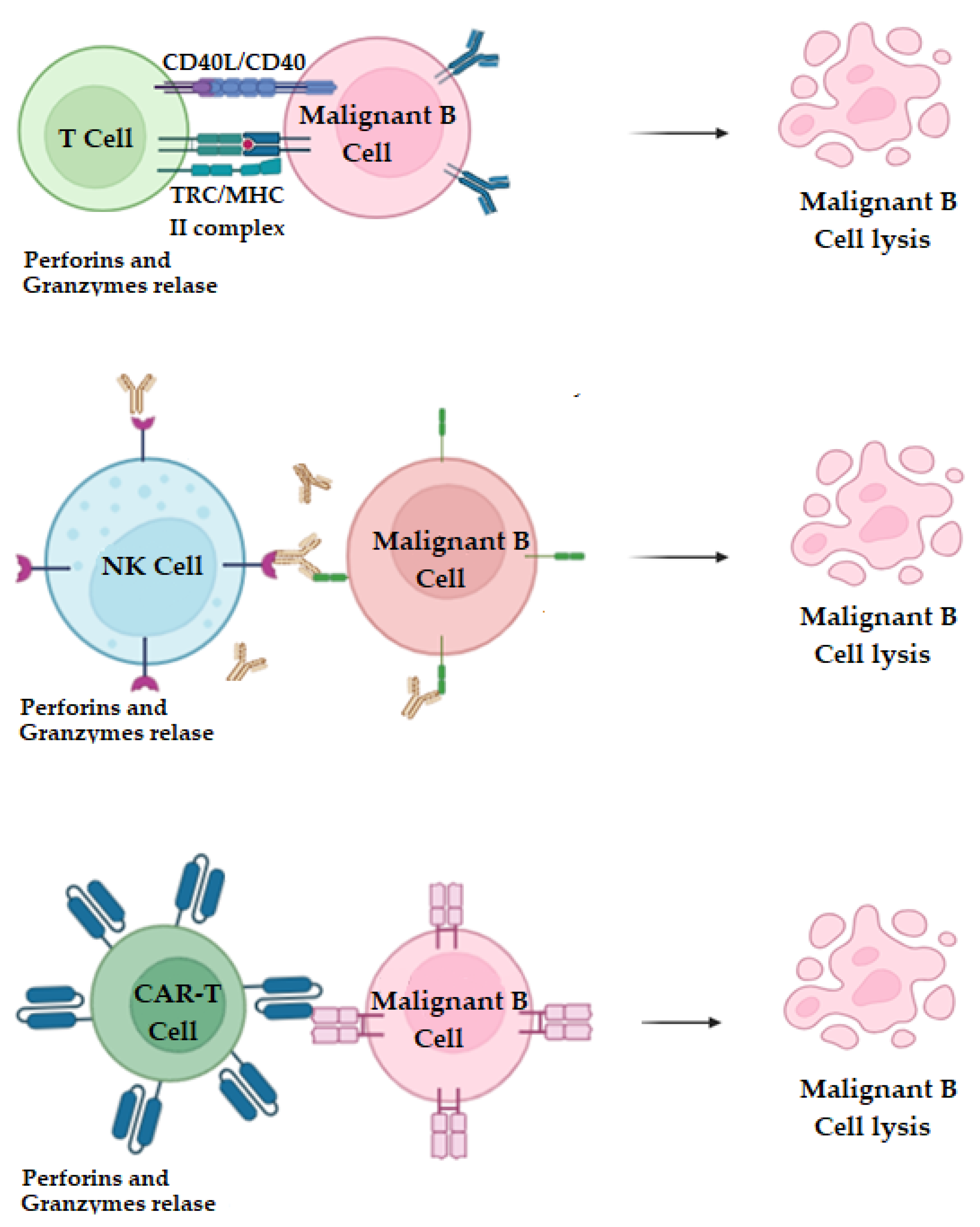 Molecules 29 04280 g006