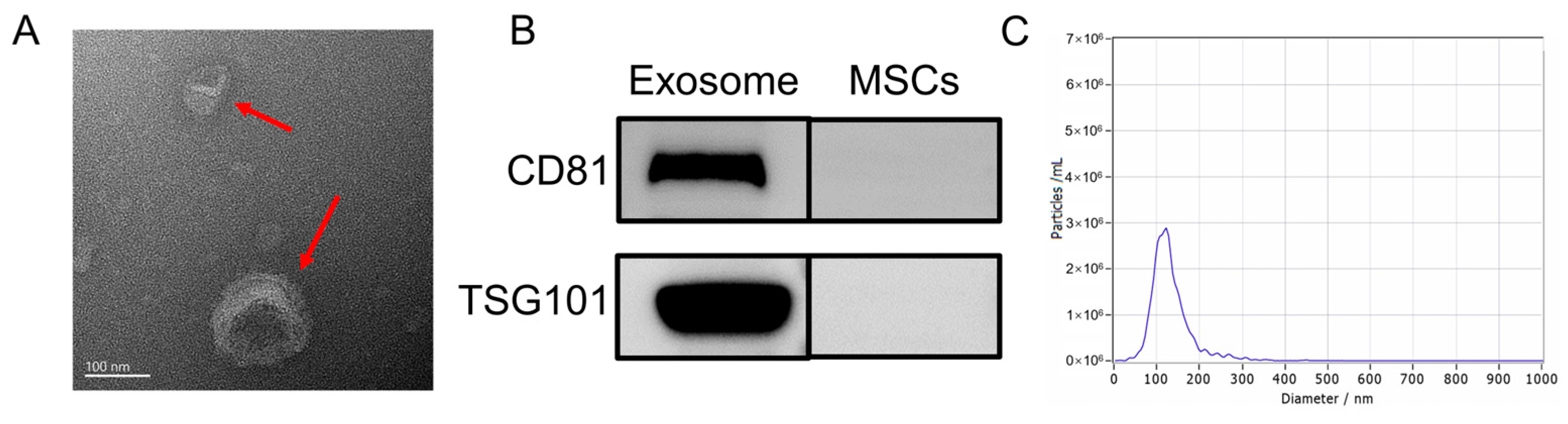 Molecules 29 04281 g001