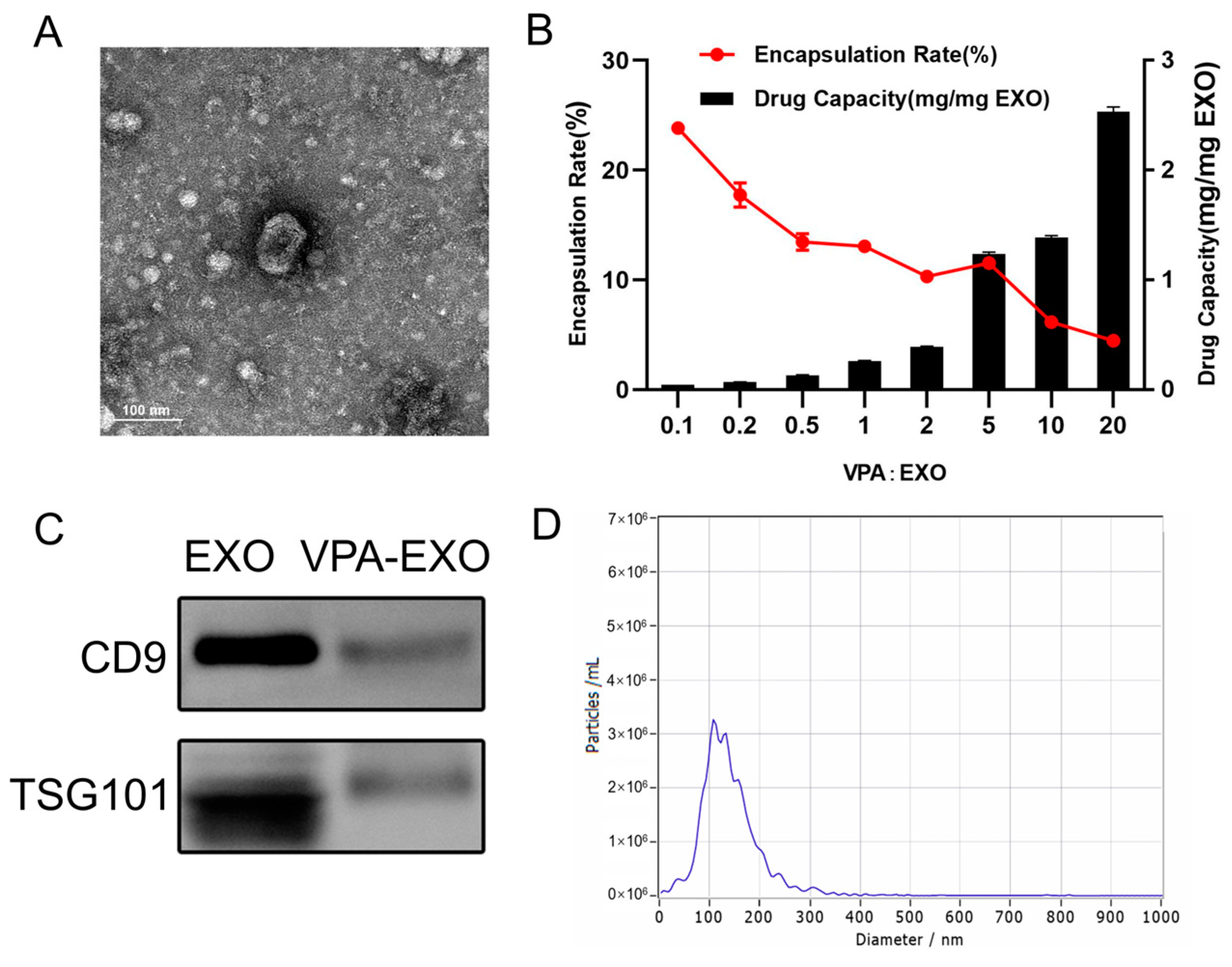 Molecules 29 04281 g002