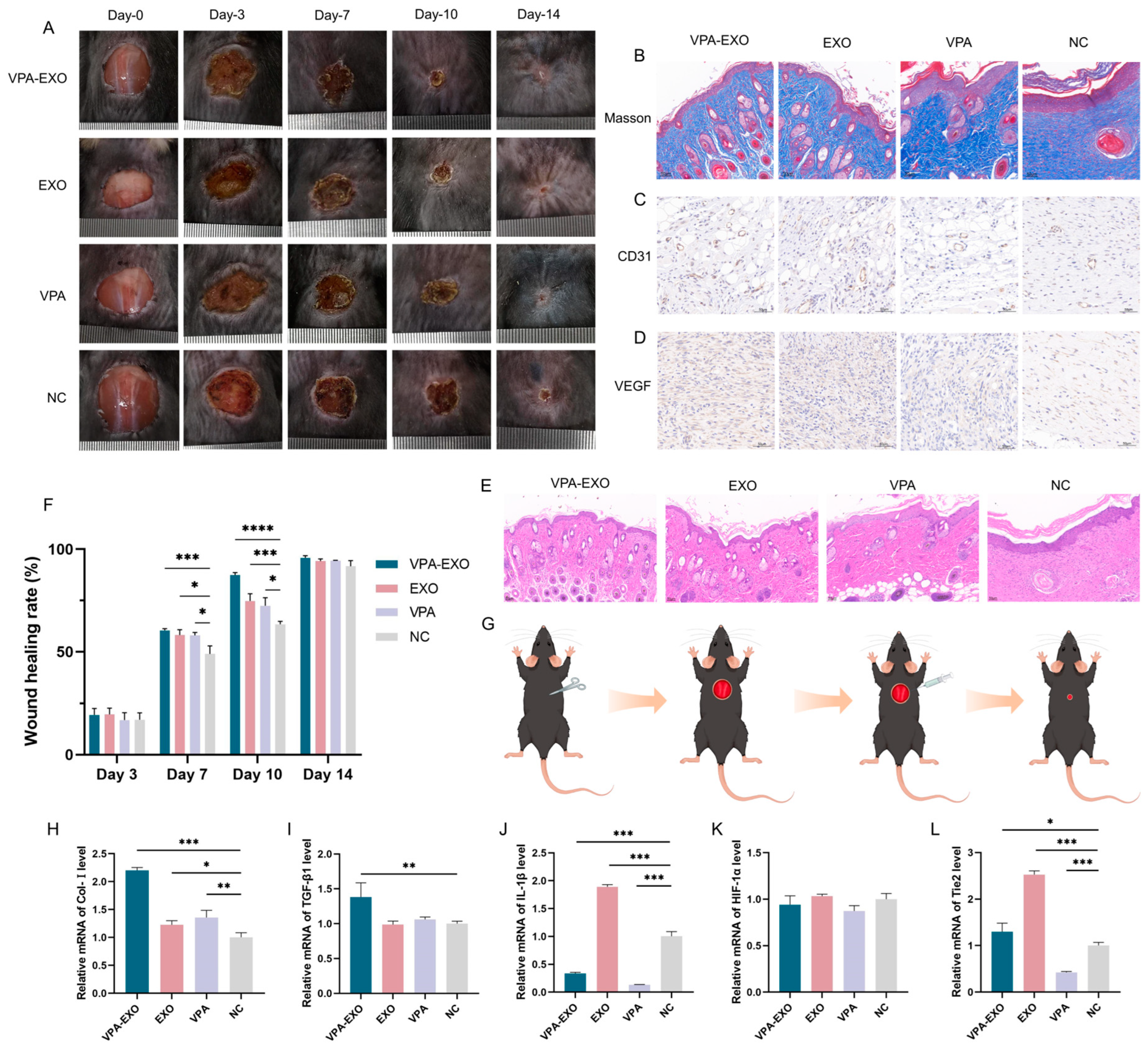 Molecules 29 04281 g007