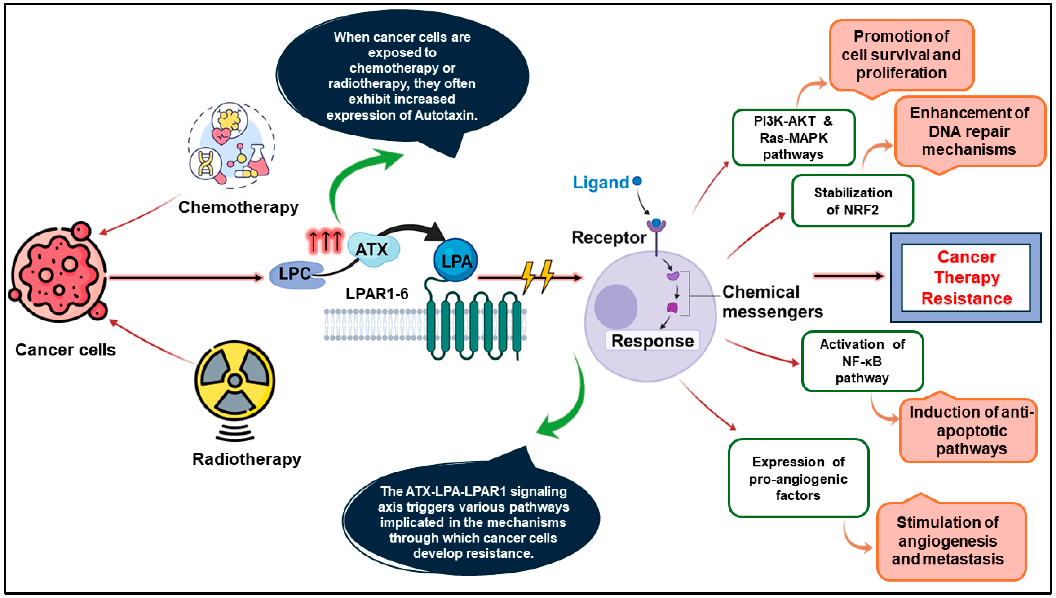 Molecules 29 04285 g001