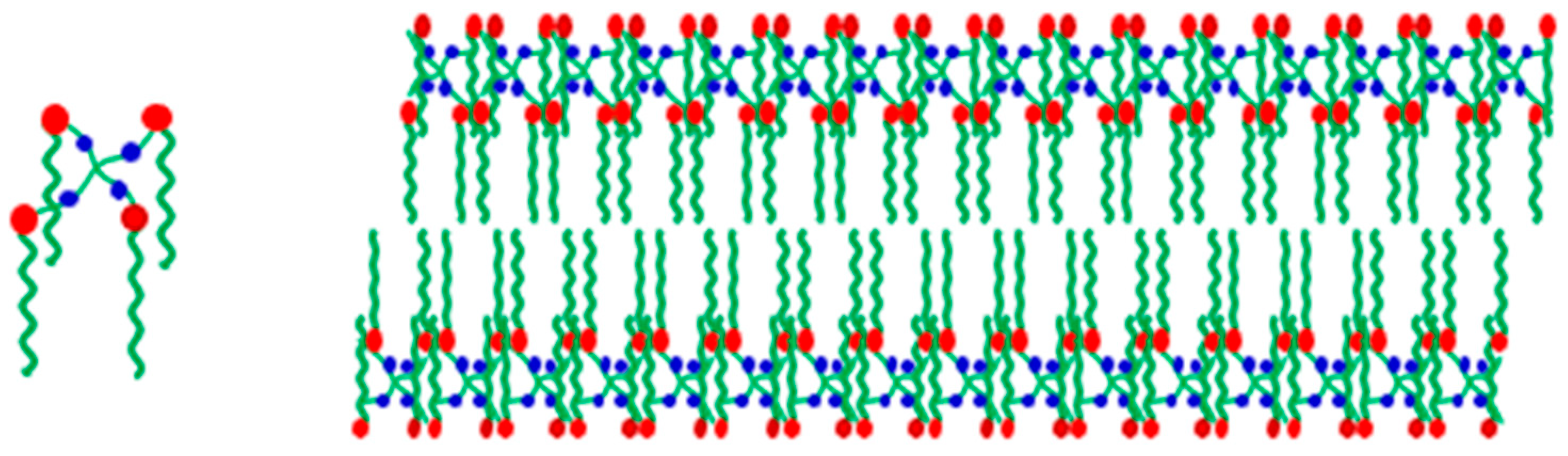Molecules 29 04286 g006