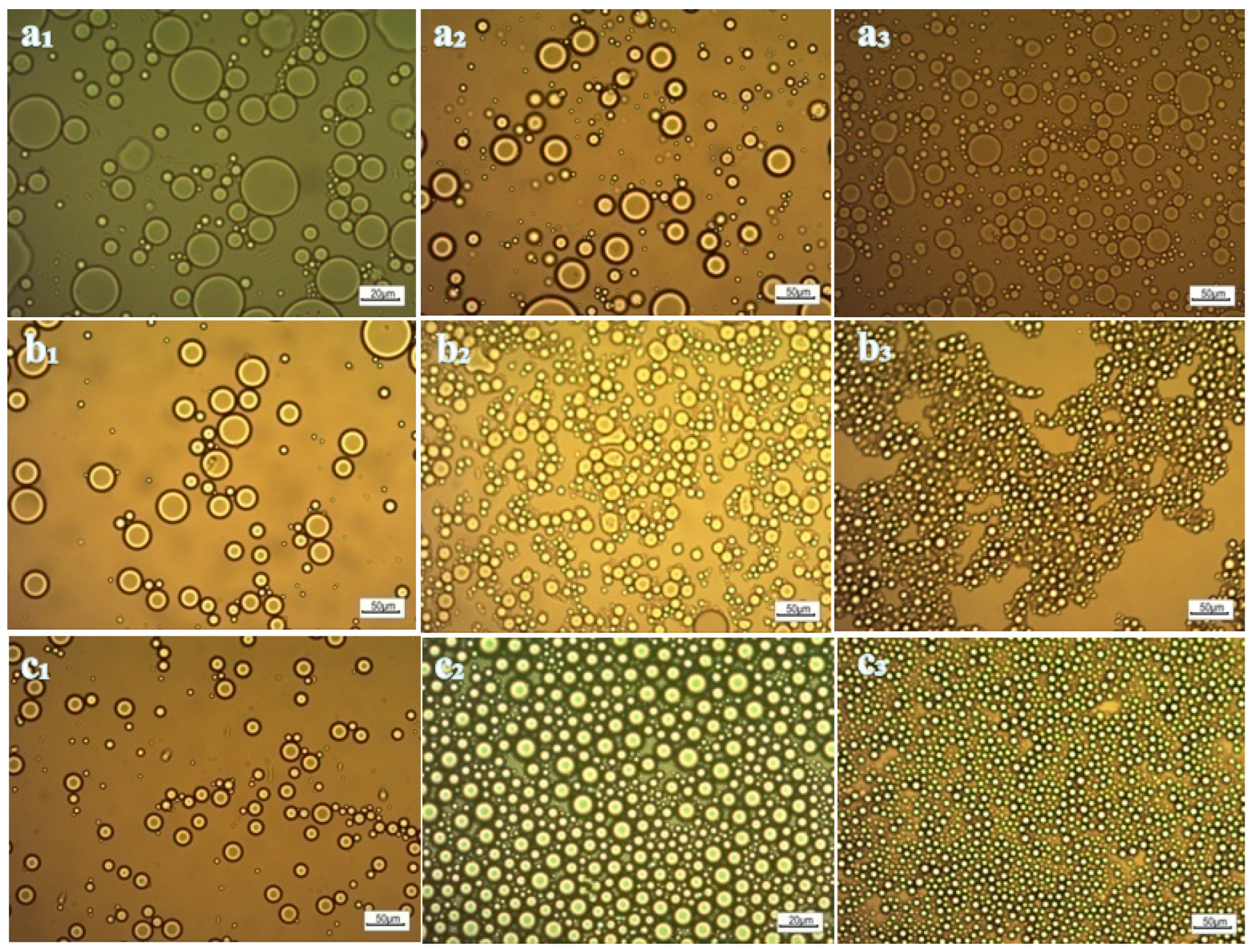 Molecules 29 04286 g009