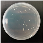 Molecules 29 04286 i003