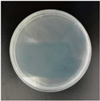 Molecules 29 04286 i006