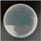 Molecules 29 04286 i007