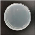 Molecules 29 04286 i008