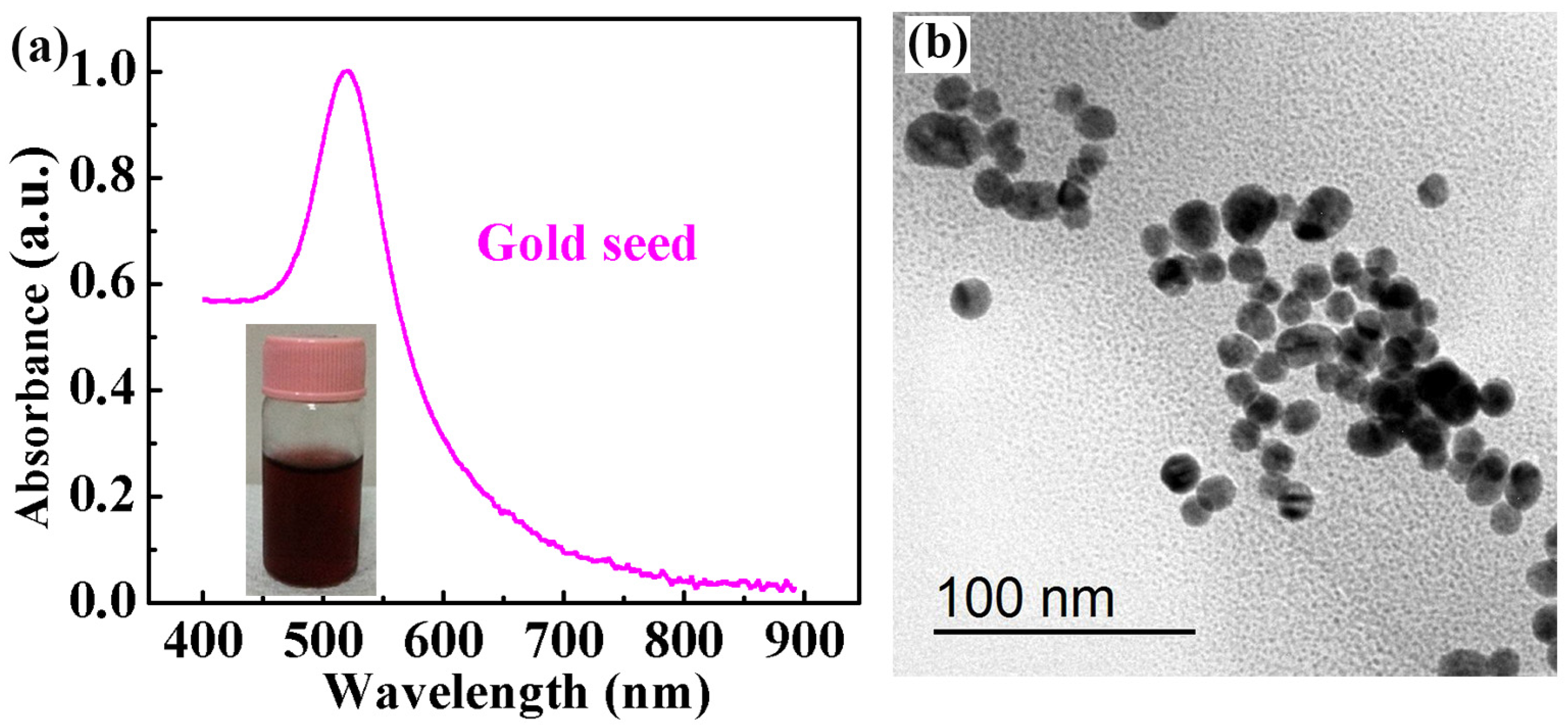 Molecules 29 04287 g001 Molecules 29 04287 g001