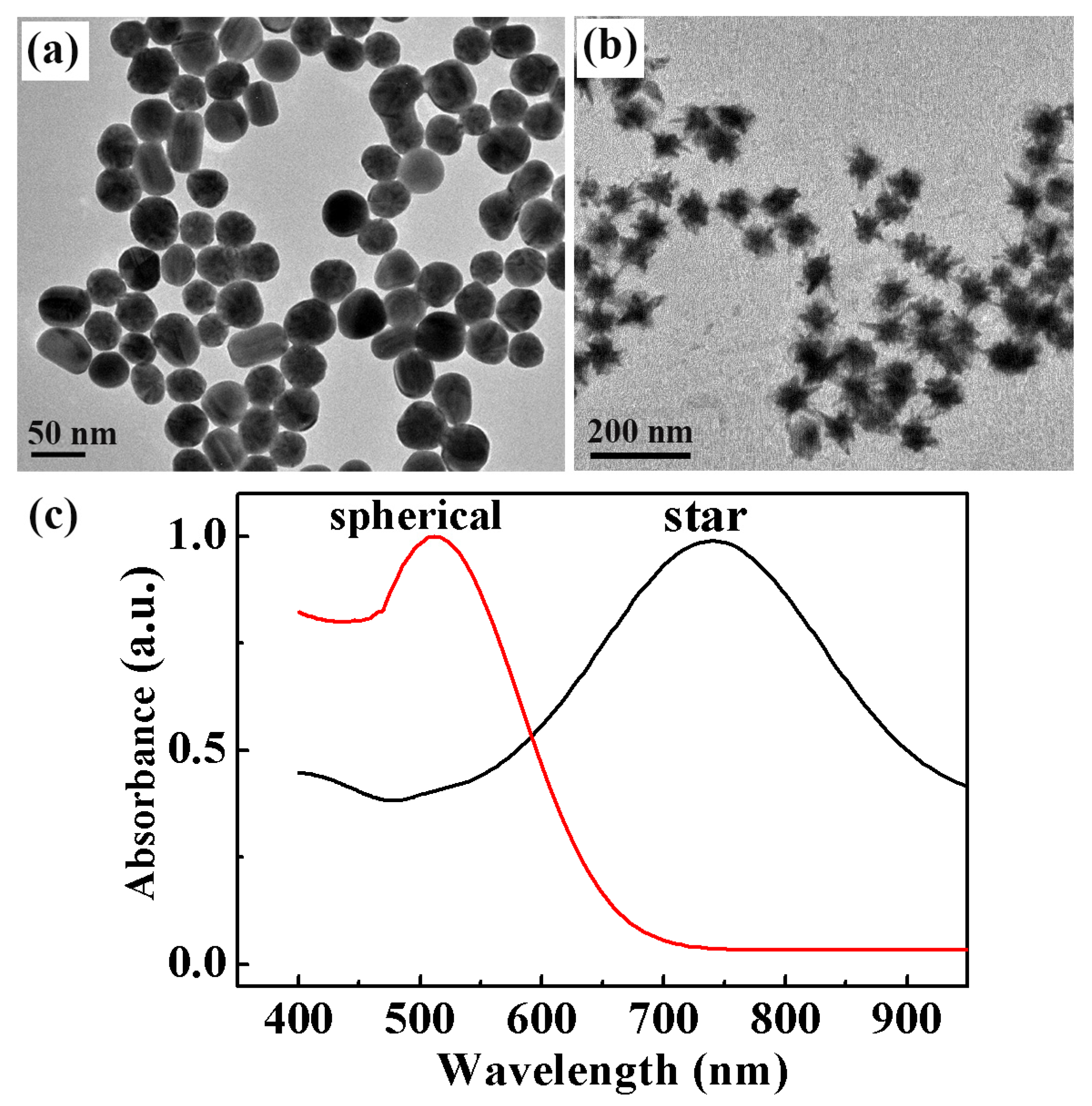 Molecules 29 04287 g002 Molecules 29 04287 g002