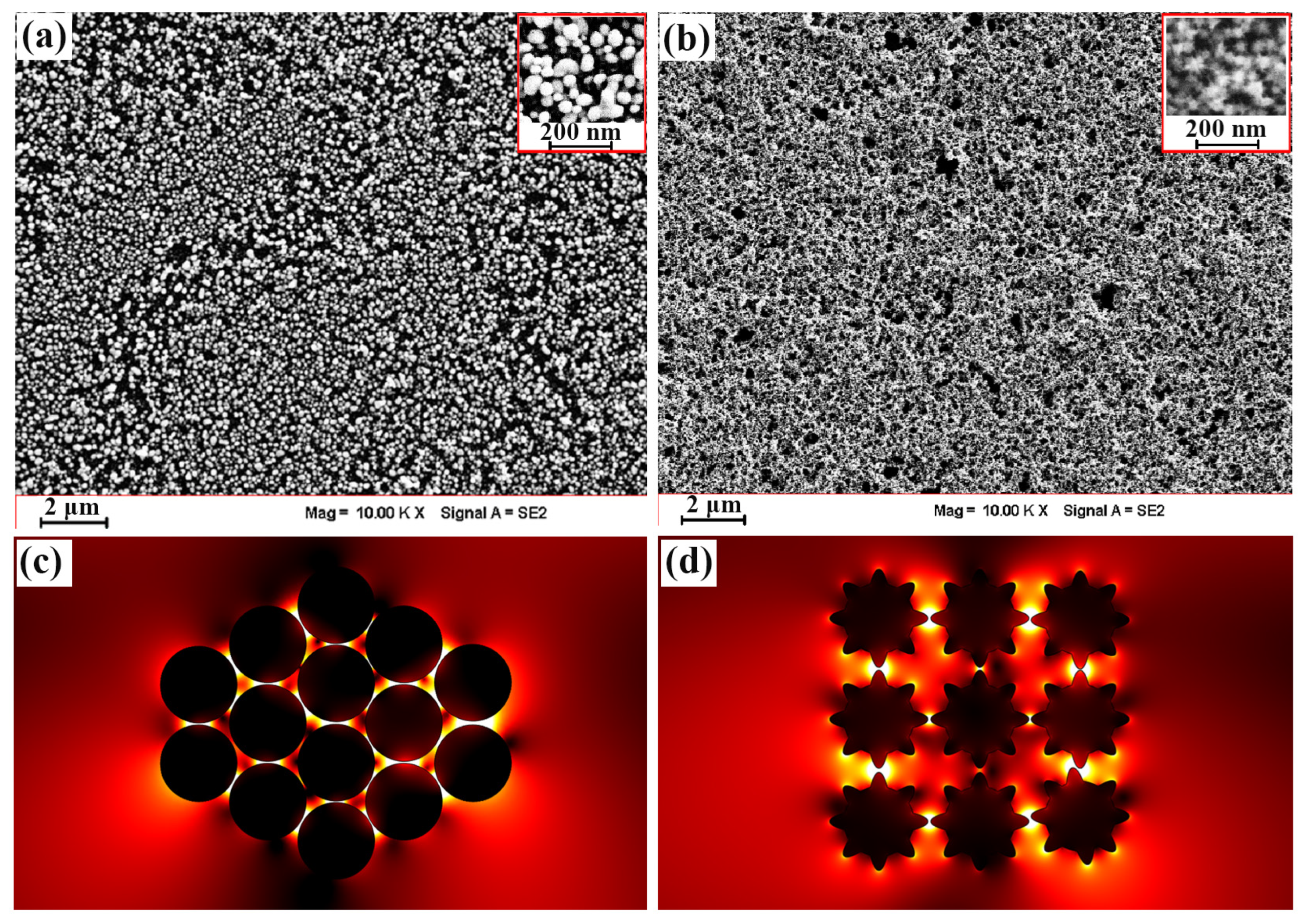 Molecules 29 04287 g005 Molecules 29 04287 g005
