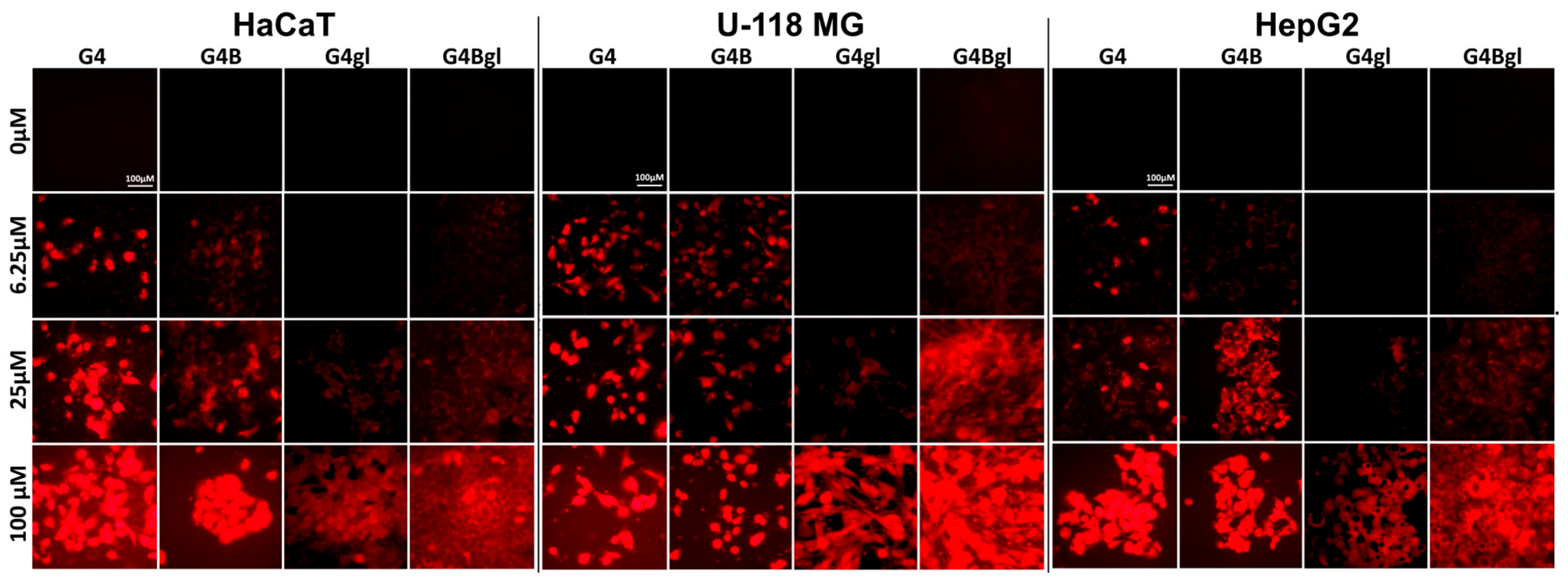 Molecules 29 04293 g012