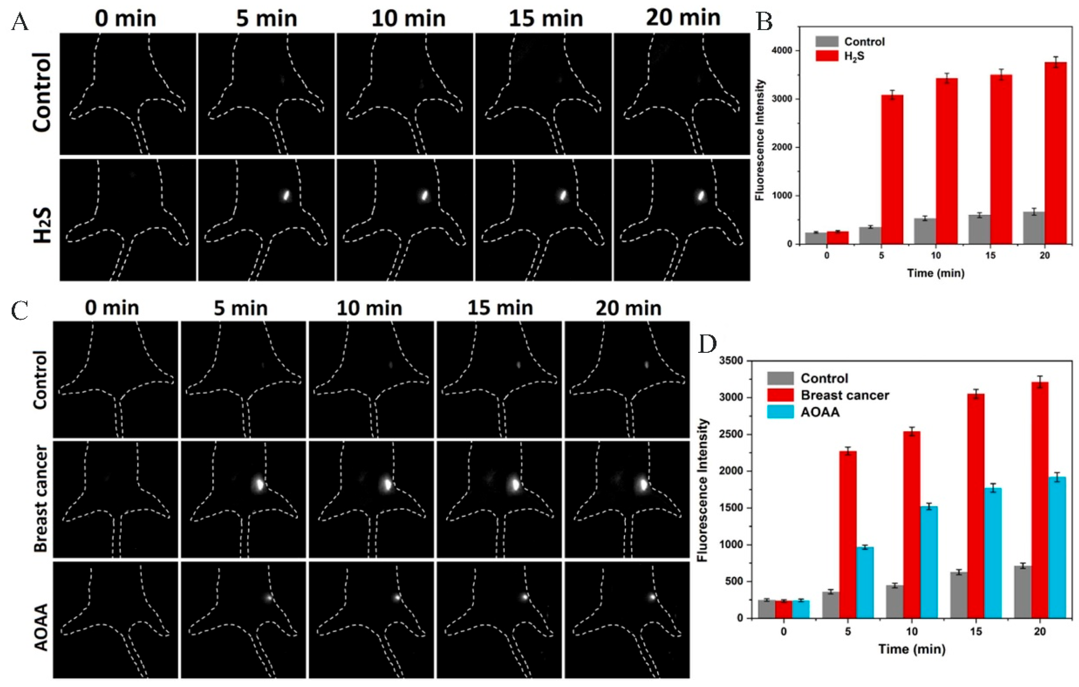 Molecules 29 04294 g002