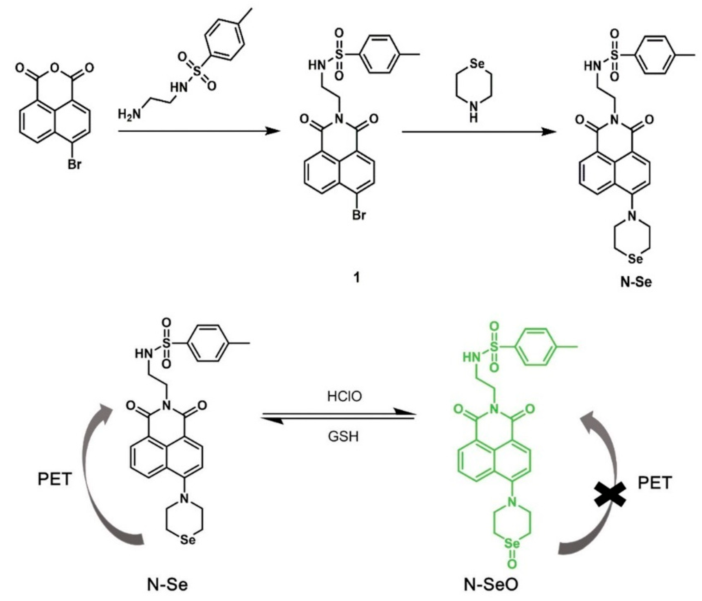 Molecules 29 04294 g004