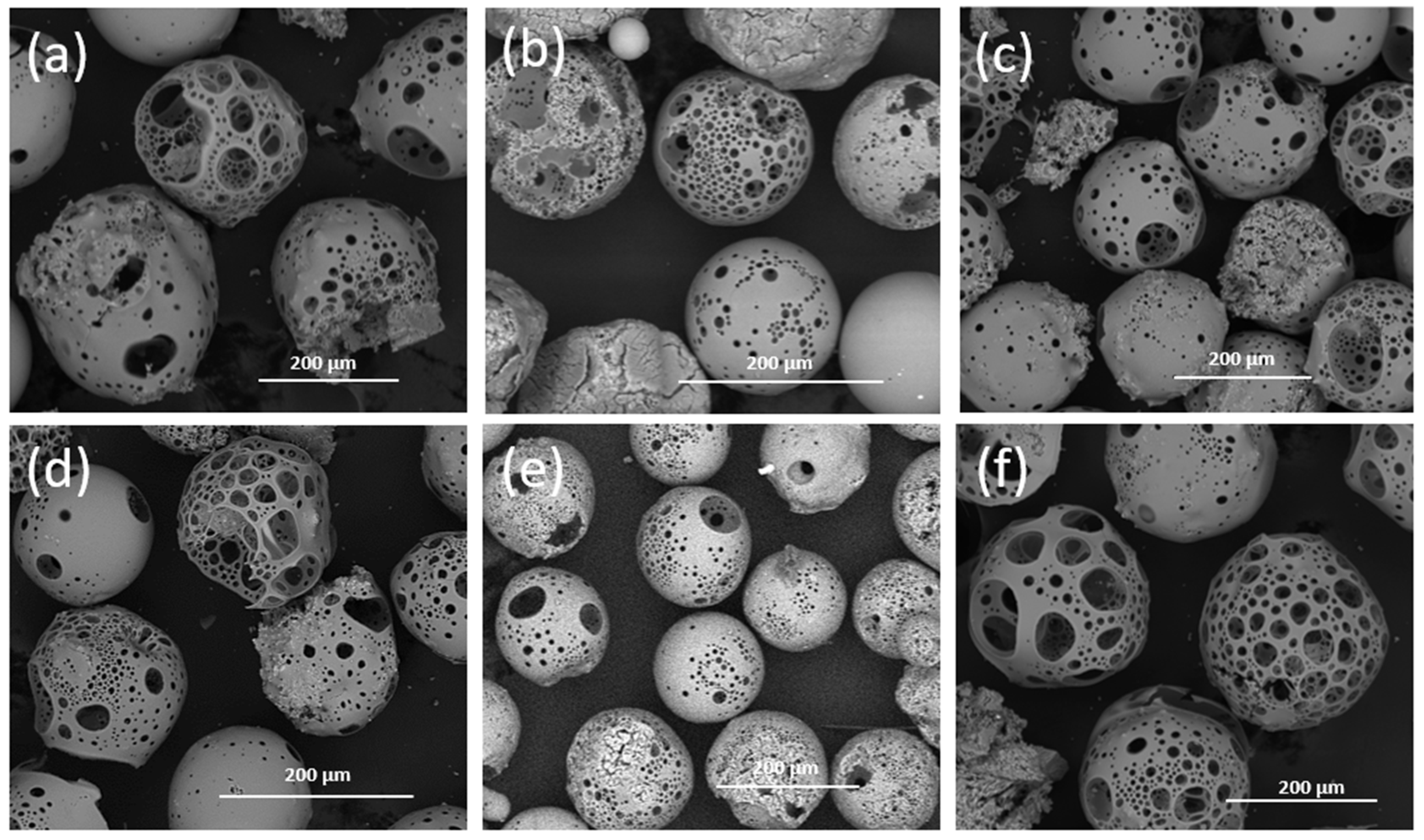 Molecules 29 04296 g010