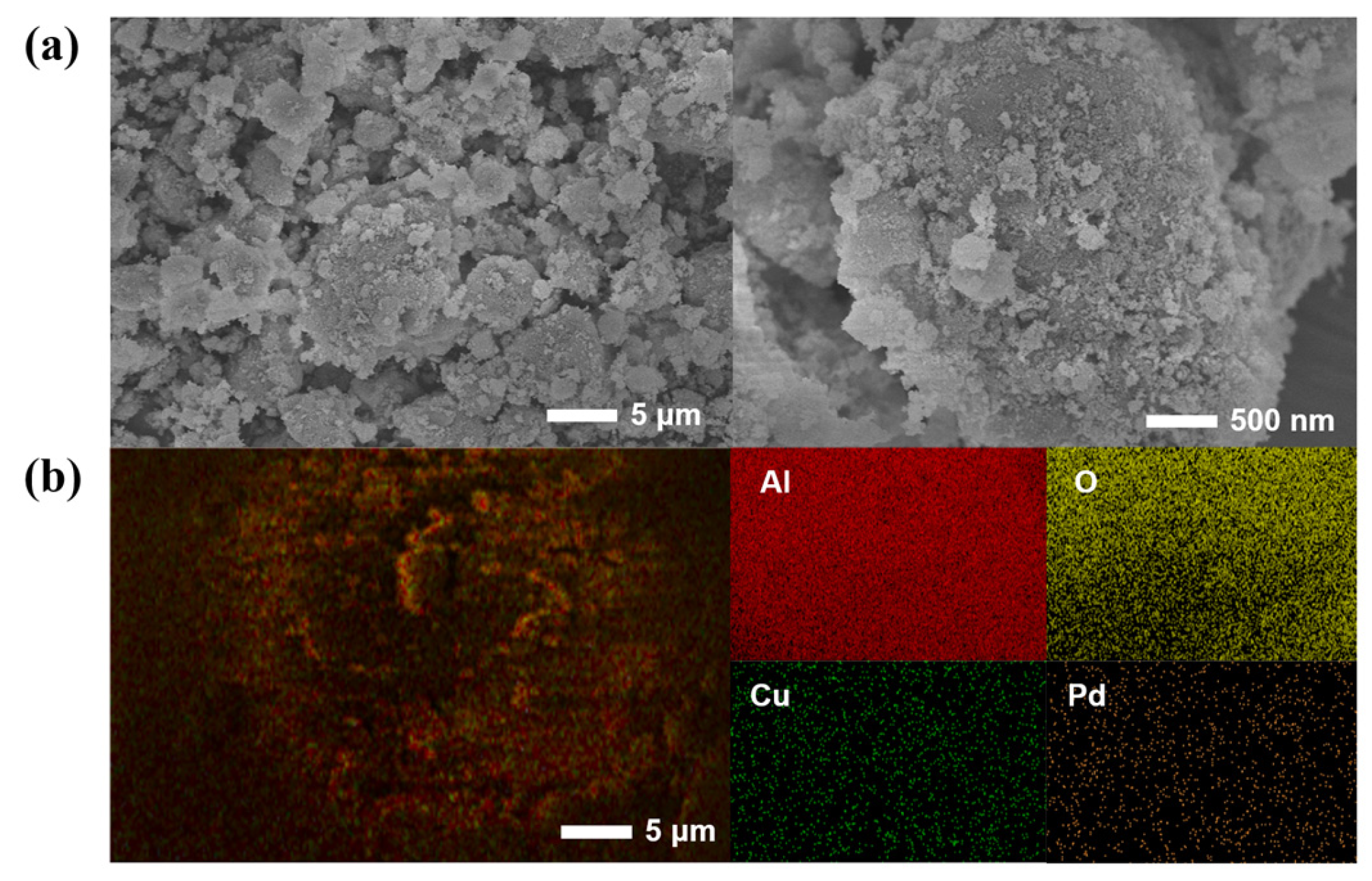 Molecules 29 04305 g004