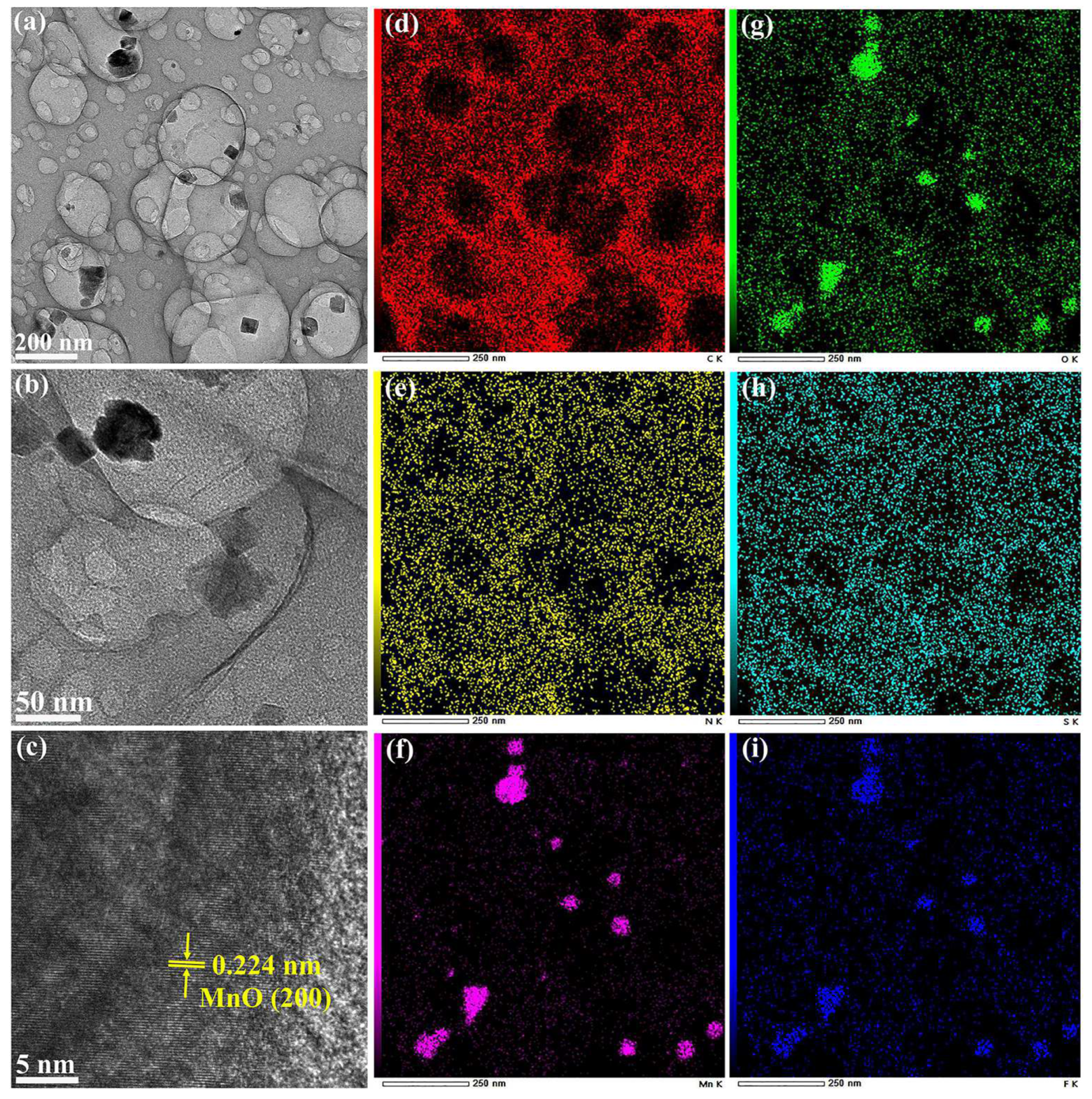 Molecules 29 04306 g004