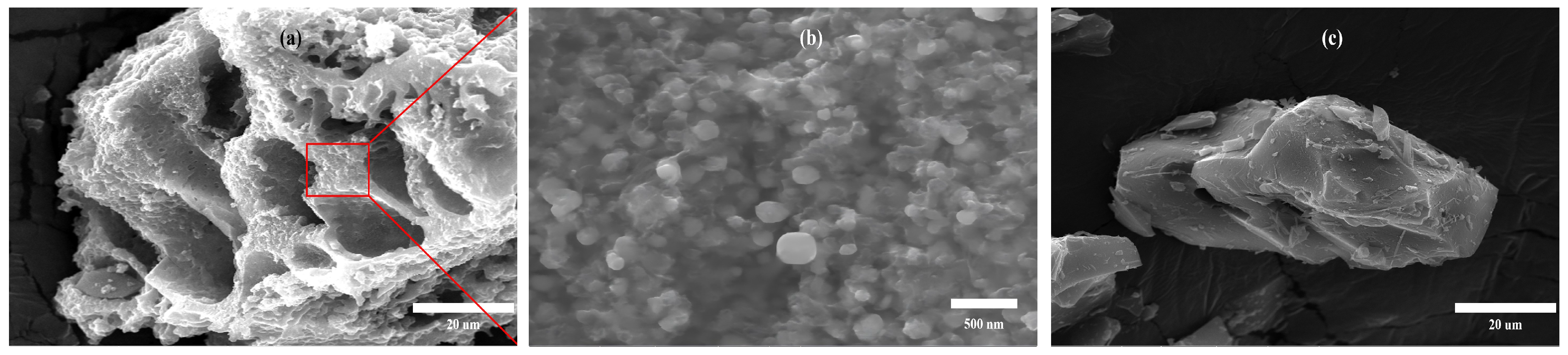 Molecules 29 04310 g004