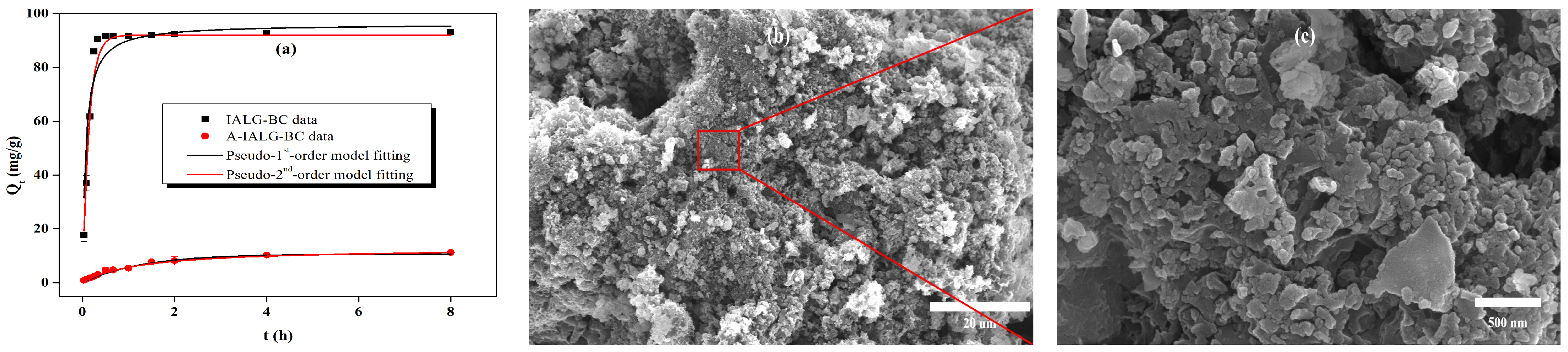 Molecules 29 04310 g011