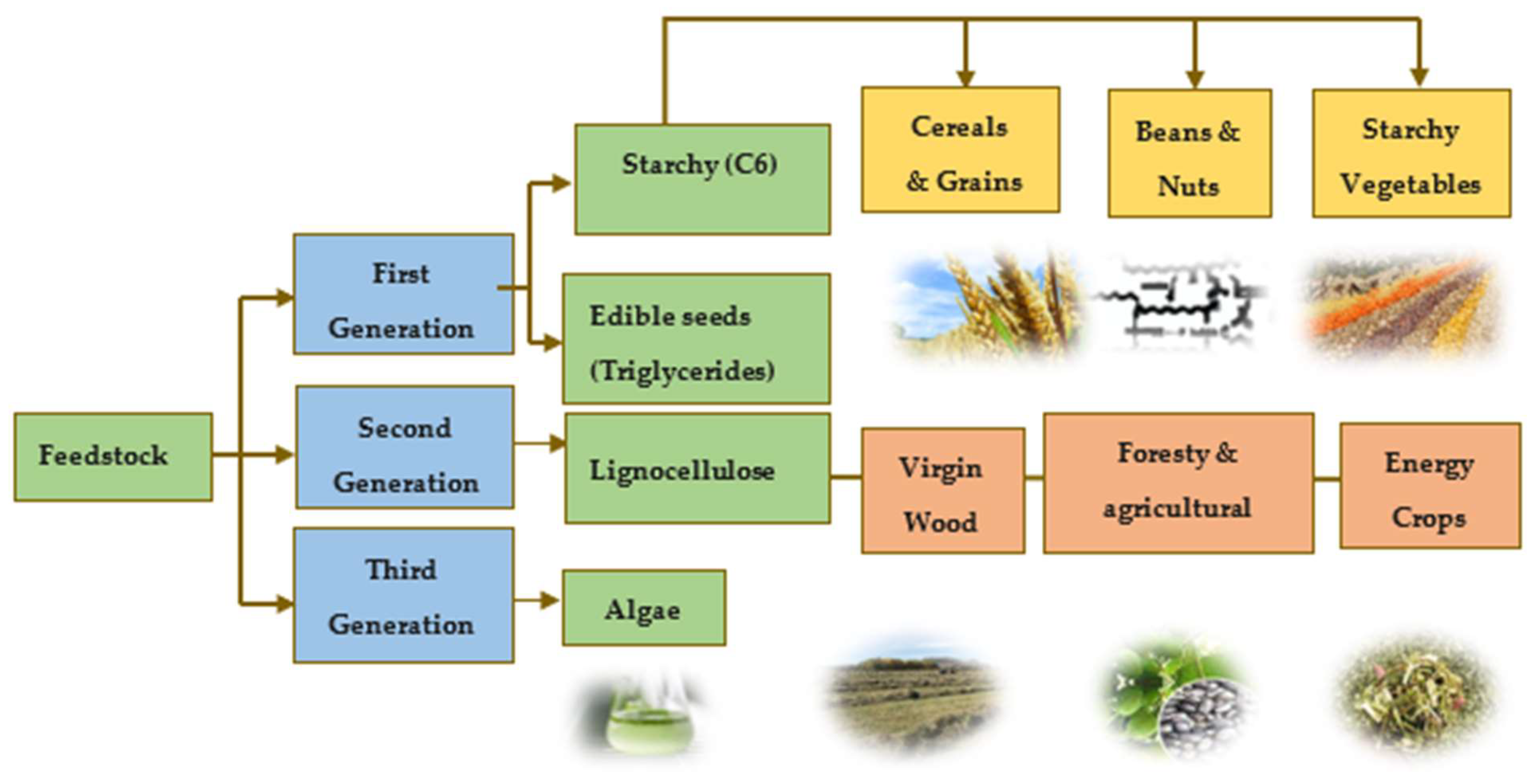 Molecules 29 04325 g003