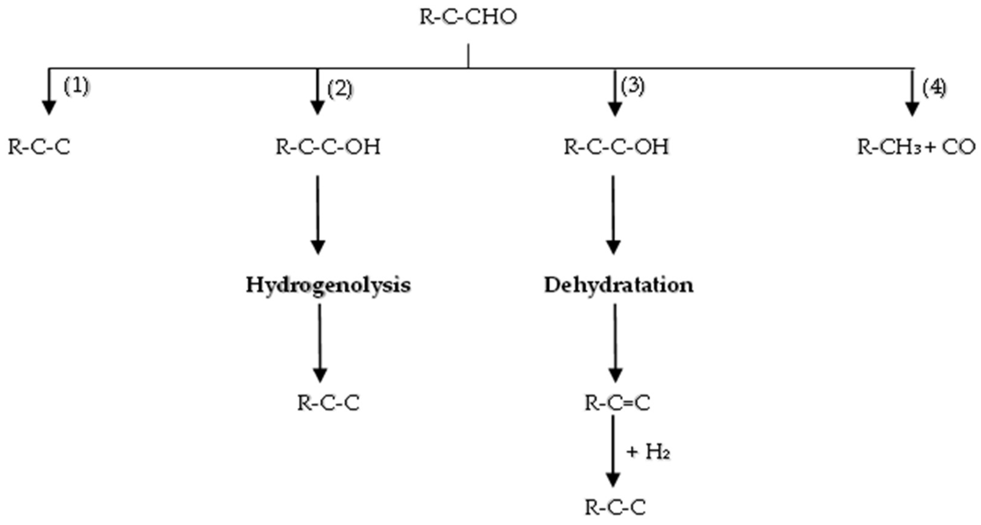 Molecules 29 04325 g012