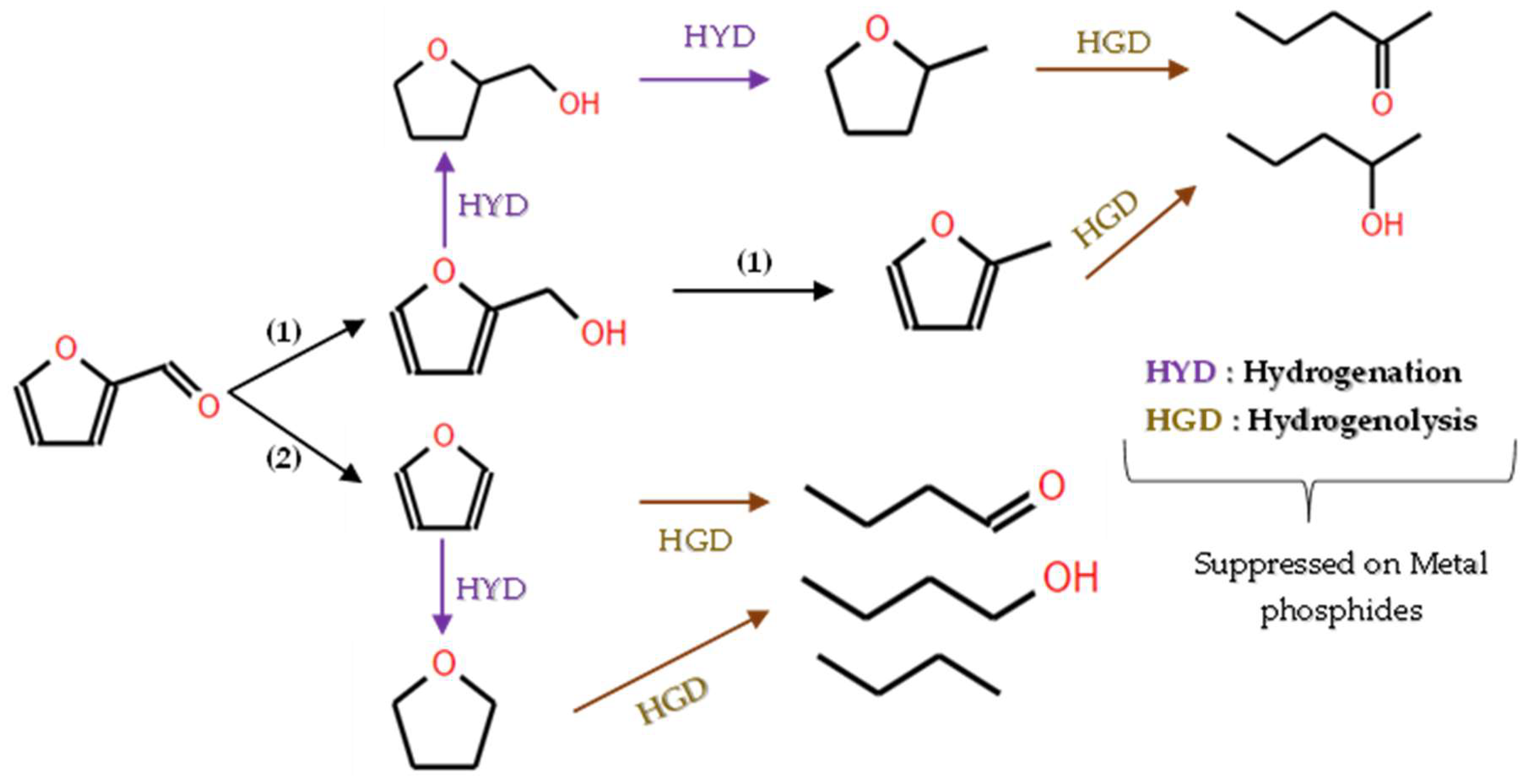 Molecules 29 04325 g013