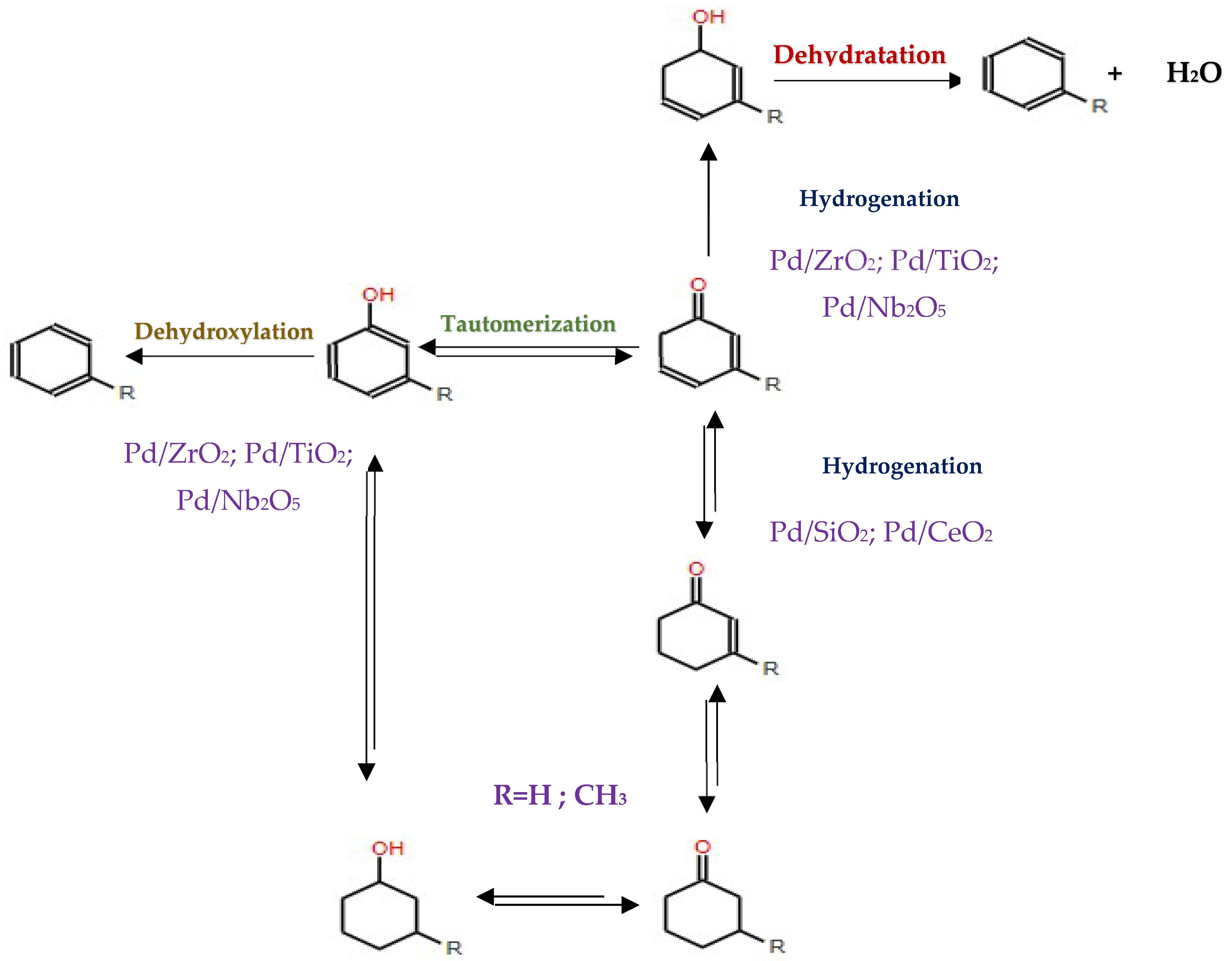 Molecules 29 04325 g019