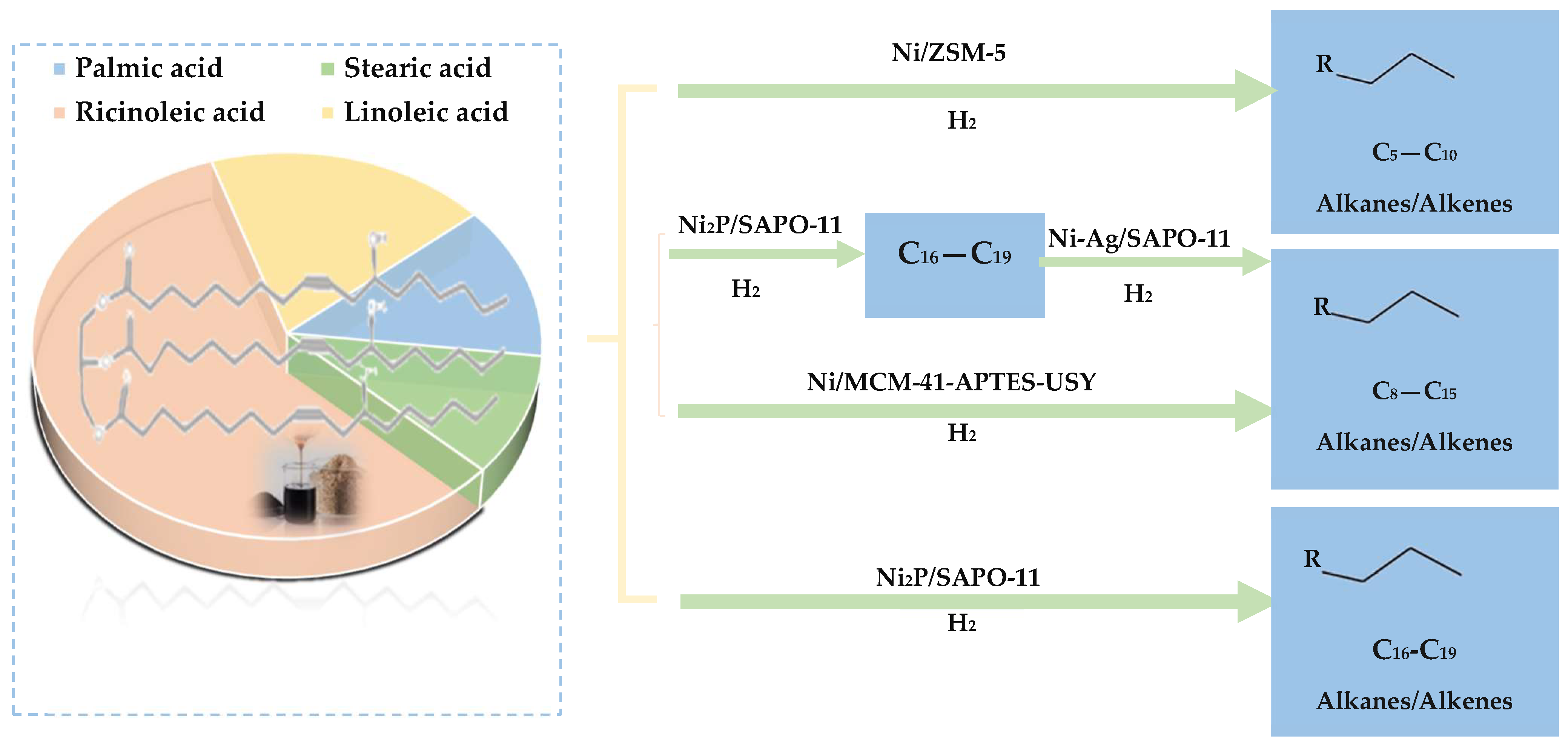 Molecules 29 04325 g022