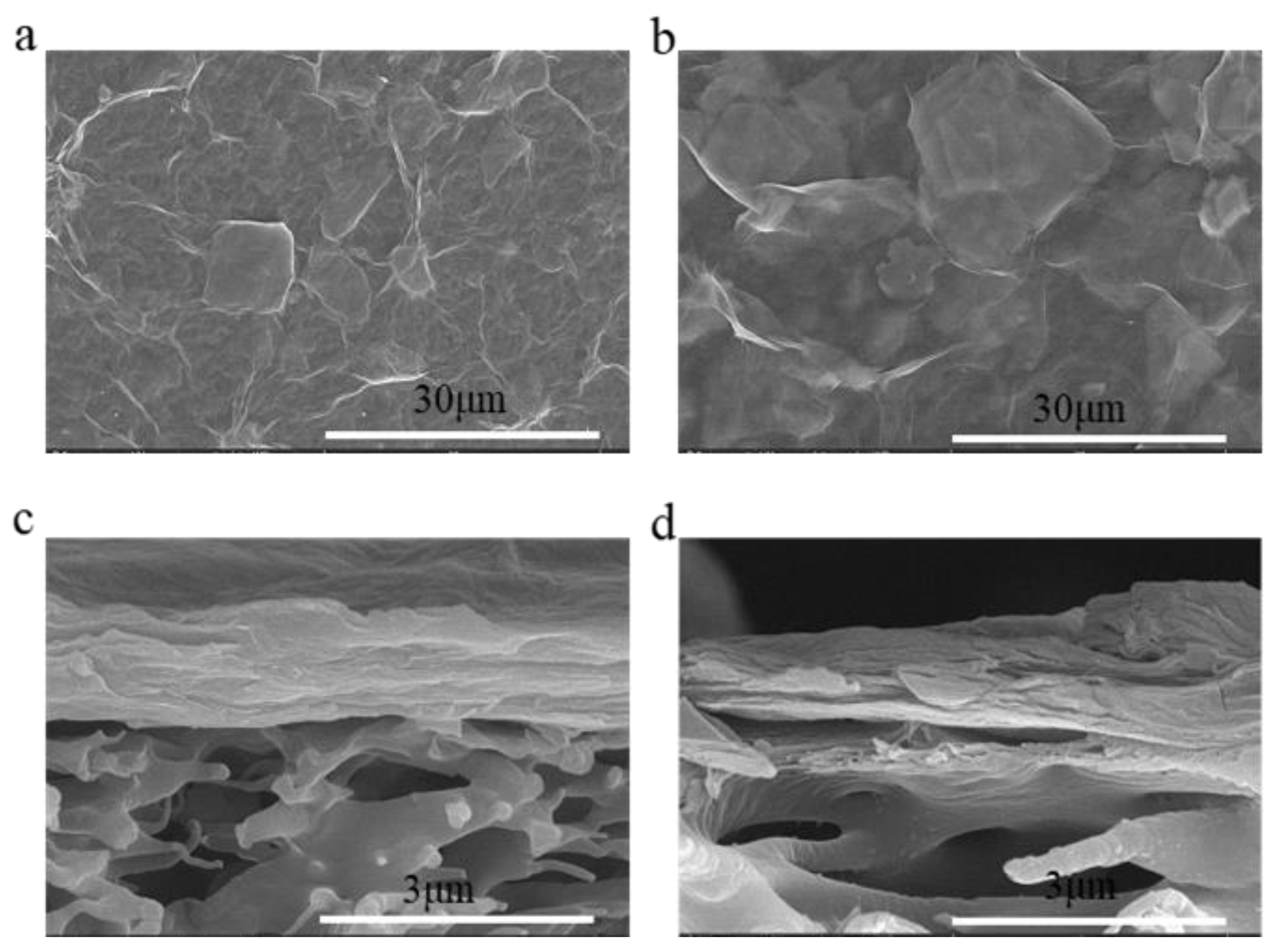 Molecules 29 04326 g001